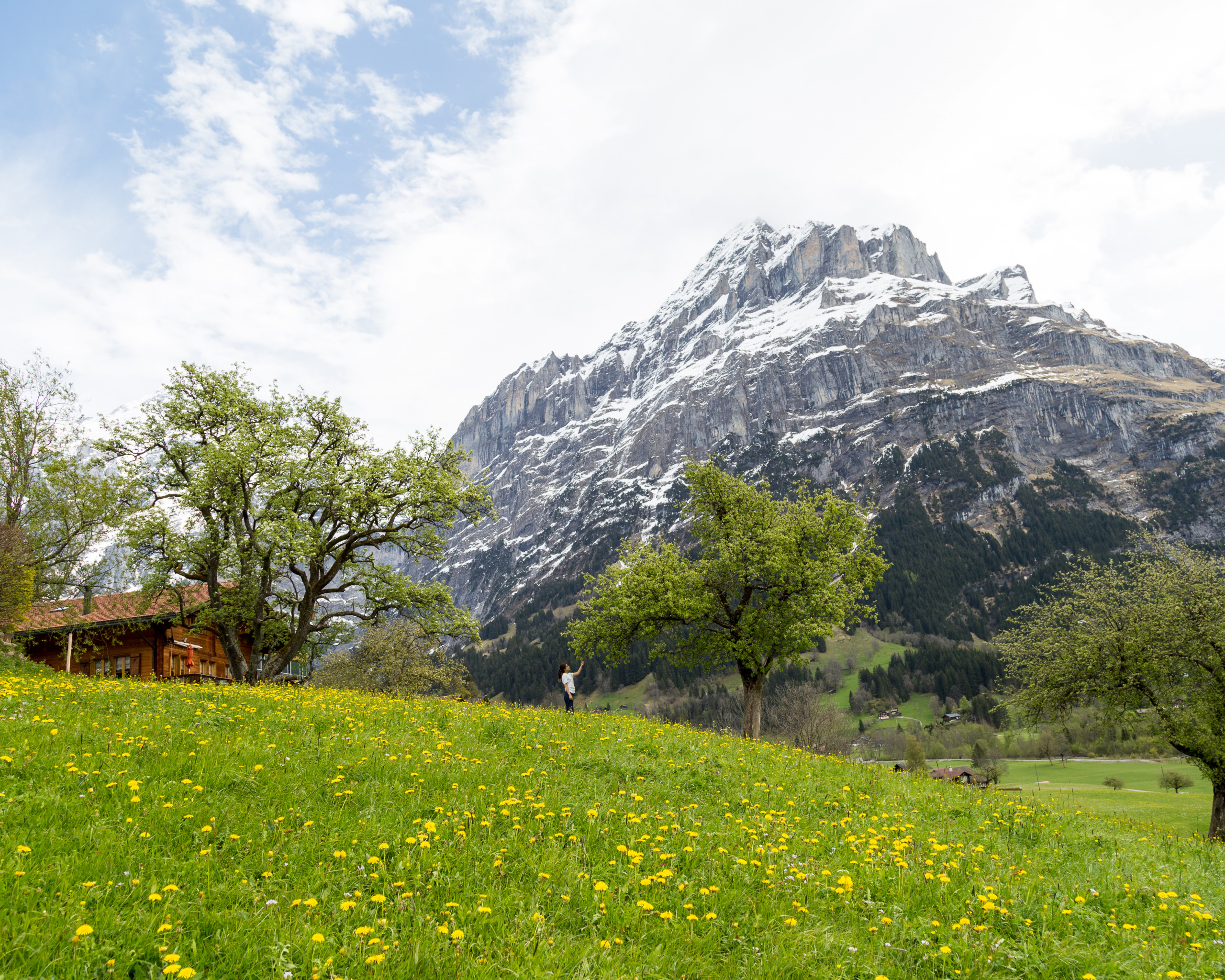 Mountain