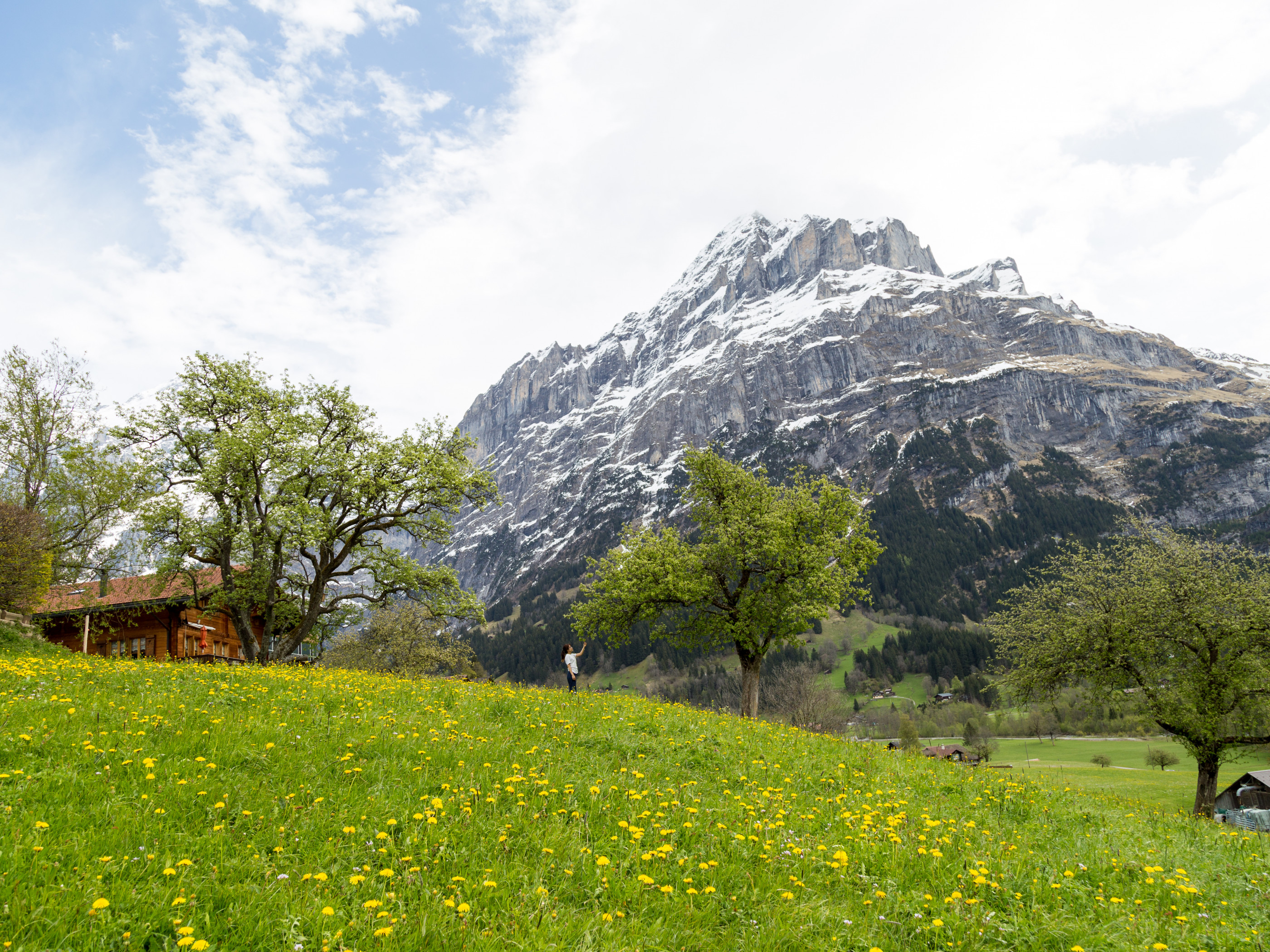 Mountain