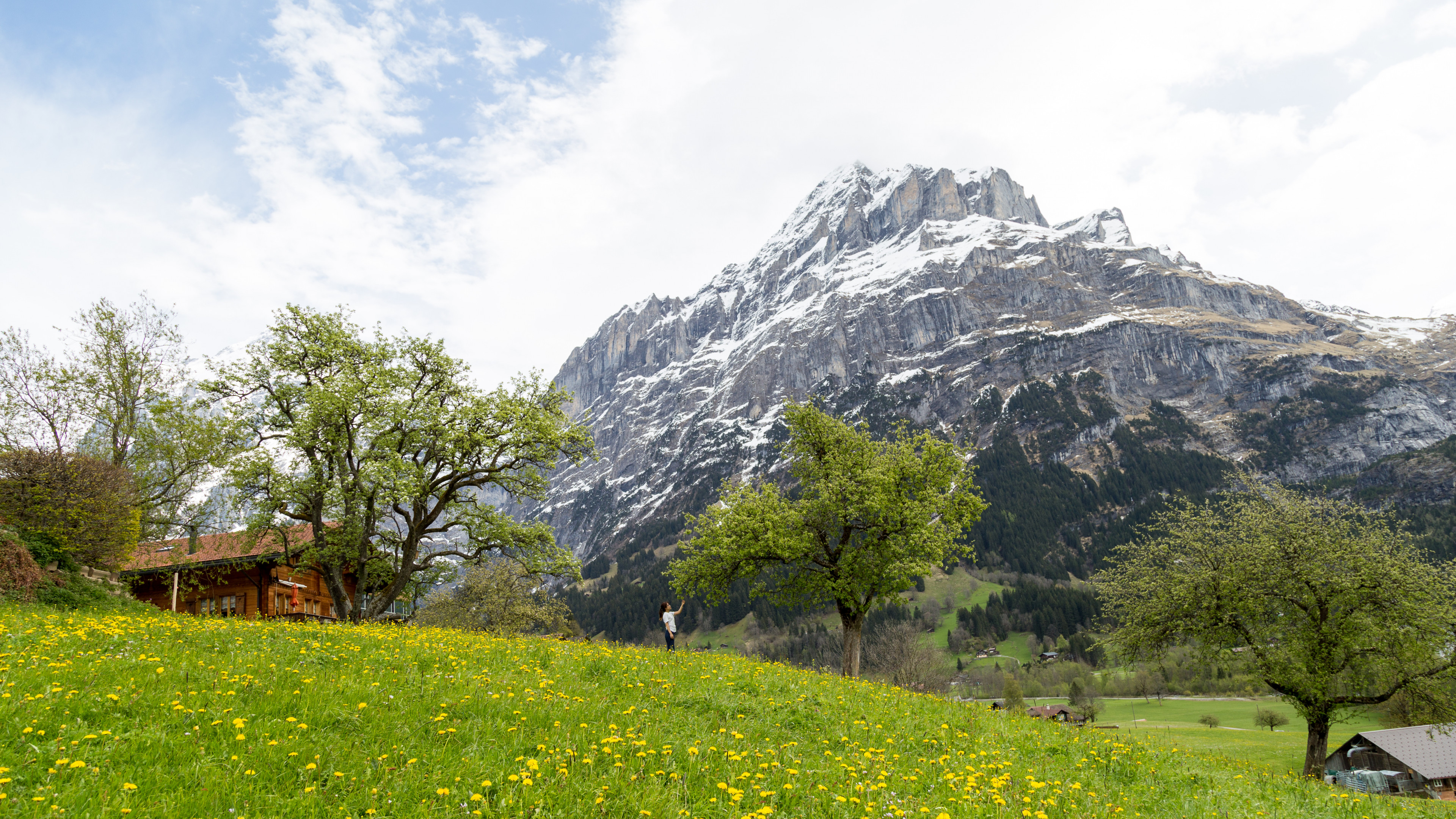 Mountain