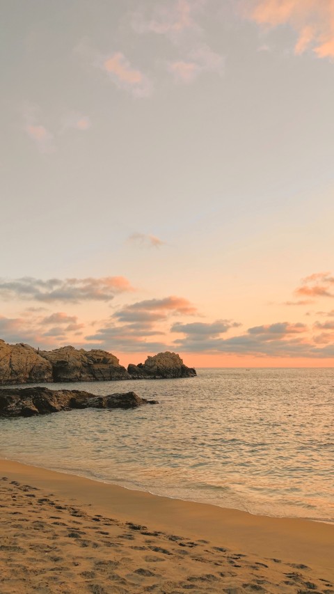 Sea Shore during Sunset