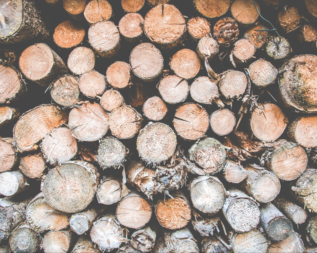 Pile of Logs