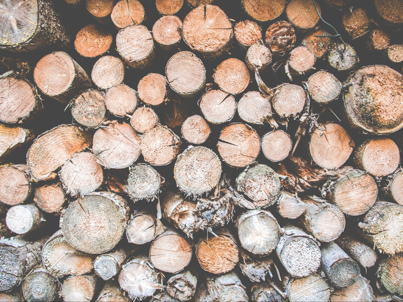 Pile of Logs