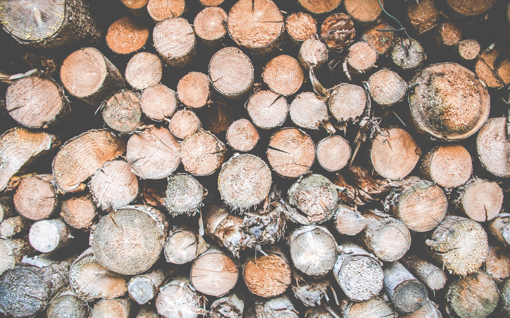 Pile of Logs