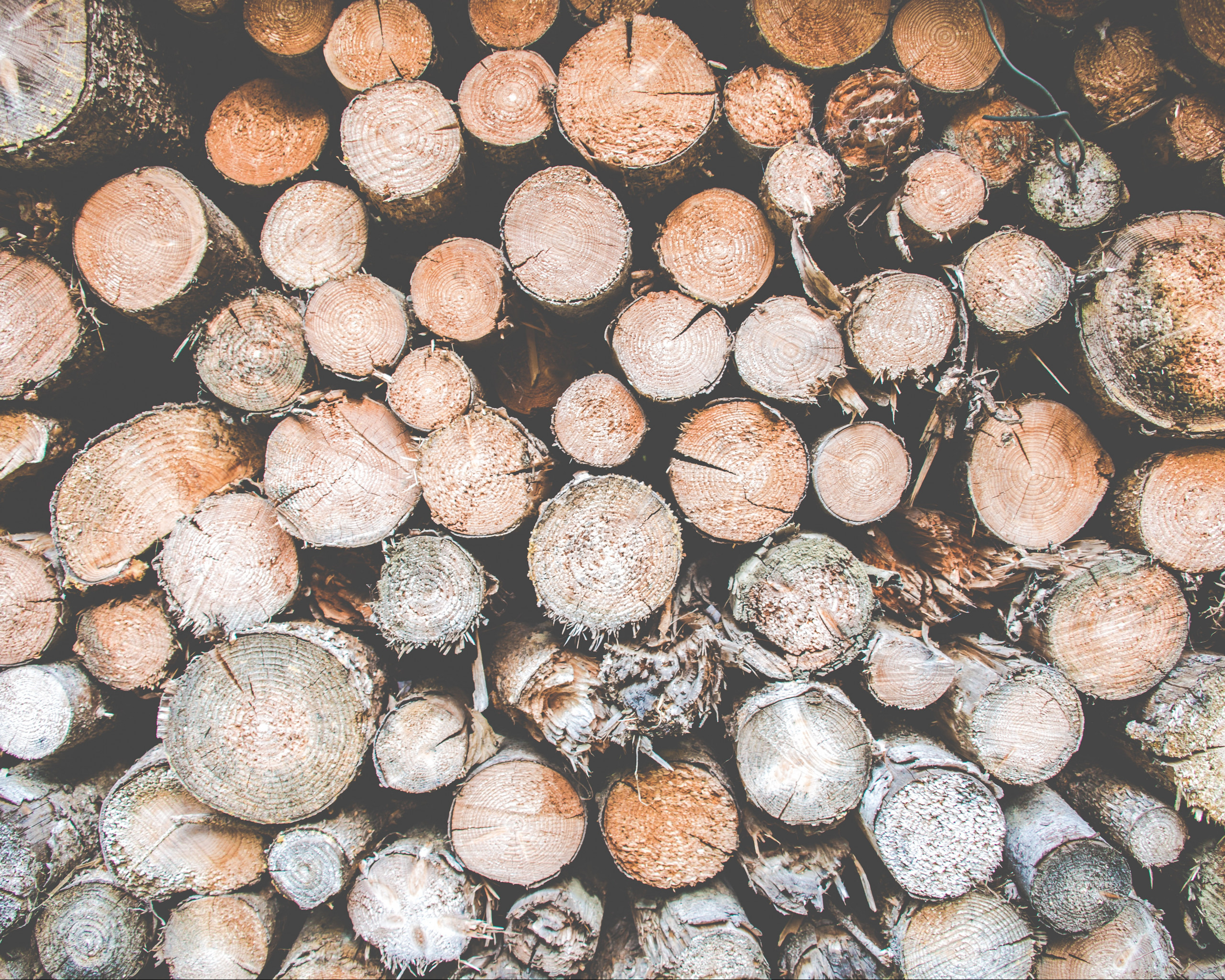 Pile of Logs