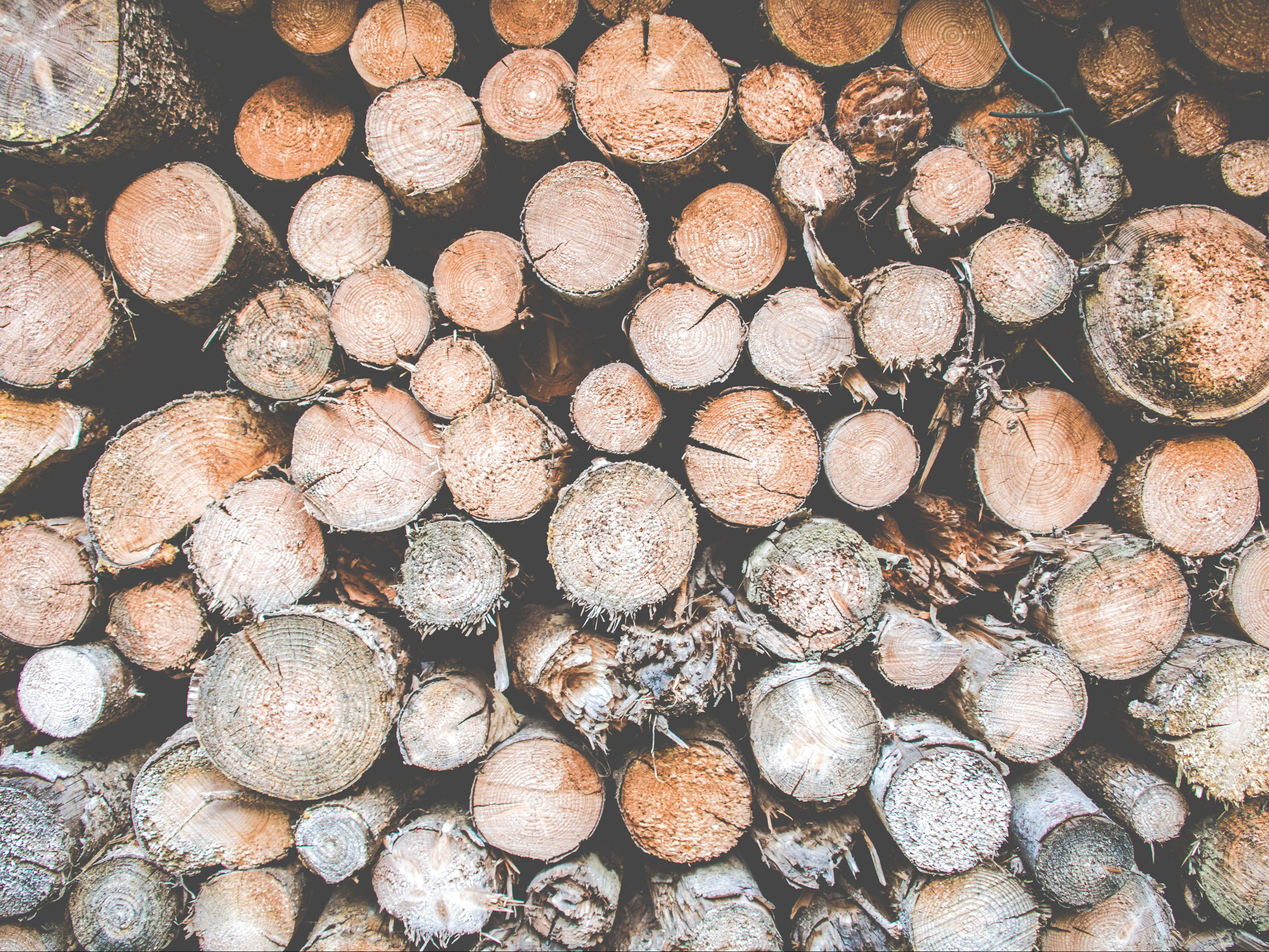 Pile of Logs
