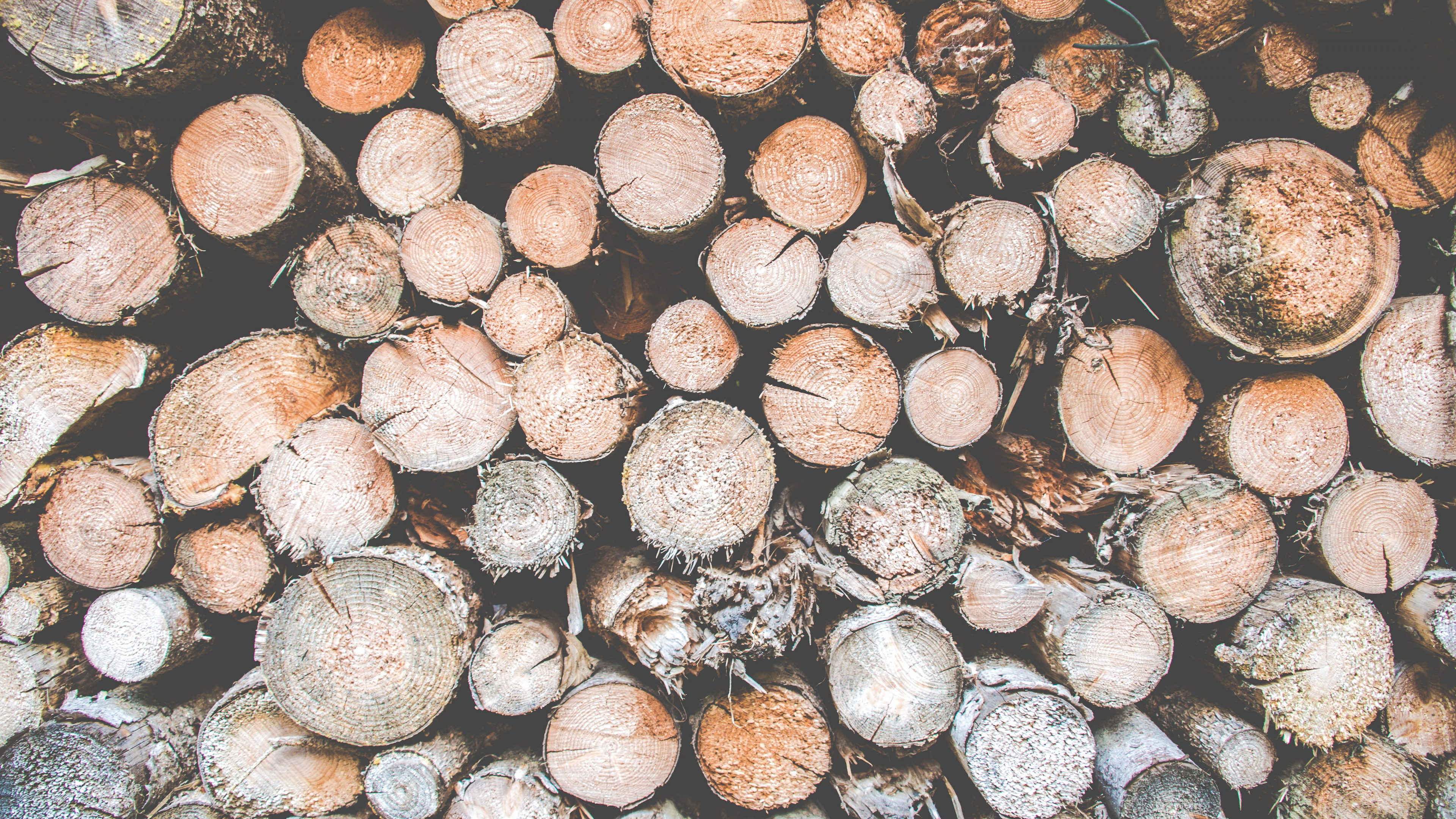 Pile of Logs