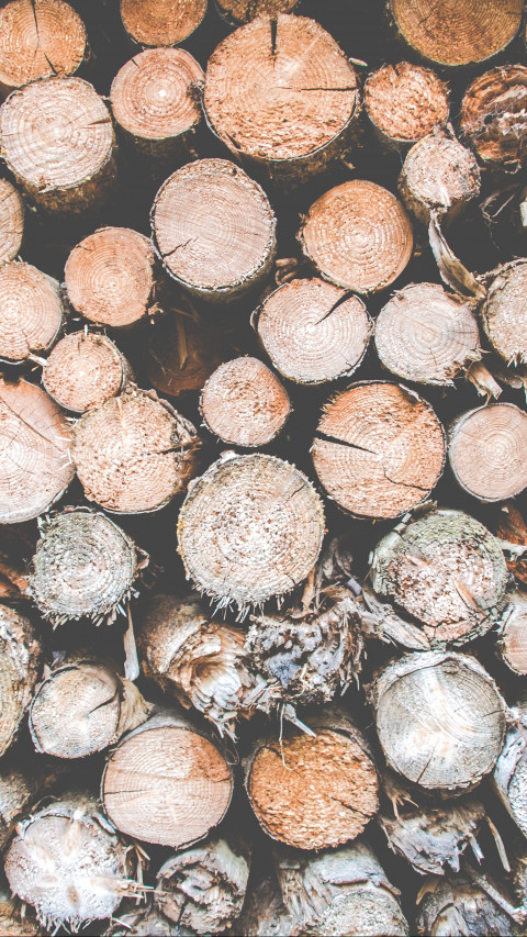 Pile of Logs