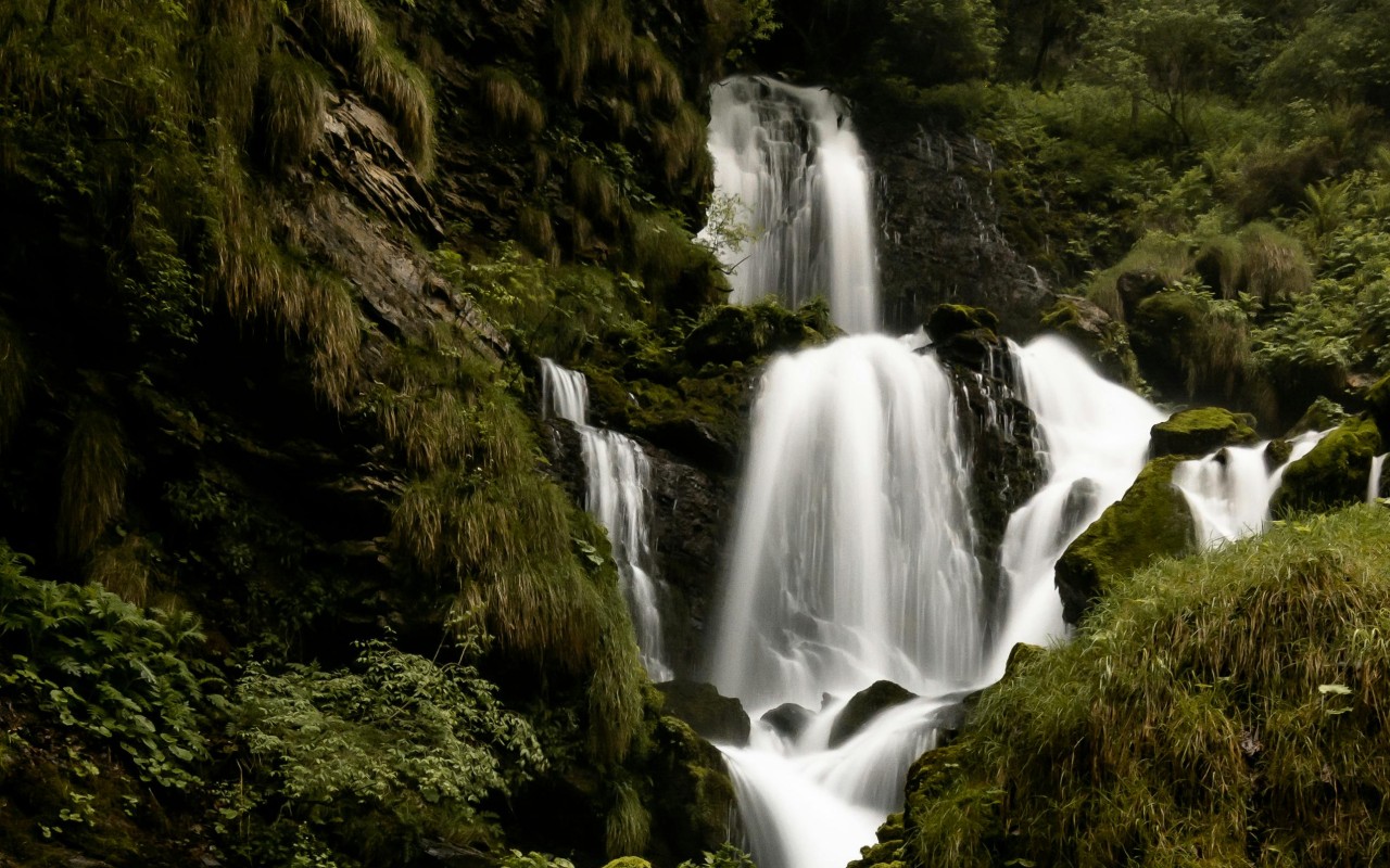 Serene Waterfall Amidst Lush Greenery