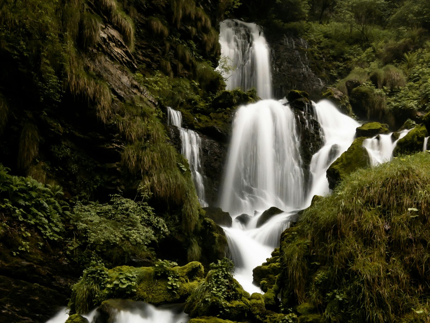Serene Waterfall Amidst Lush Greenery
