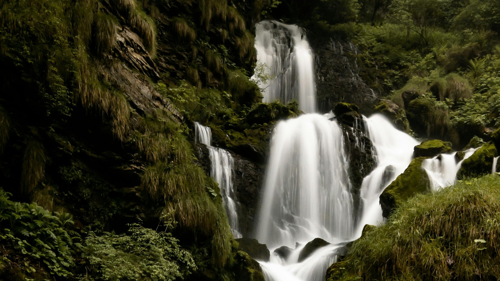 Serene Waterfall Amidst Lush Greenery