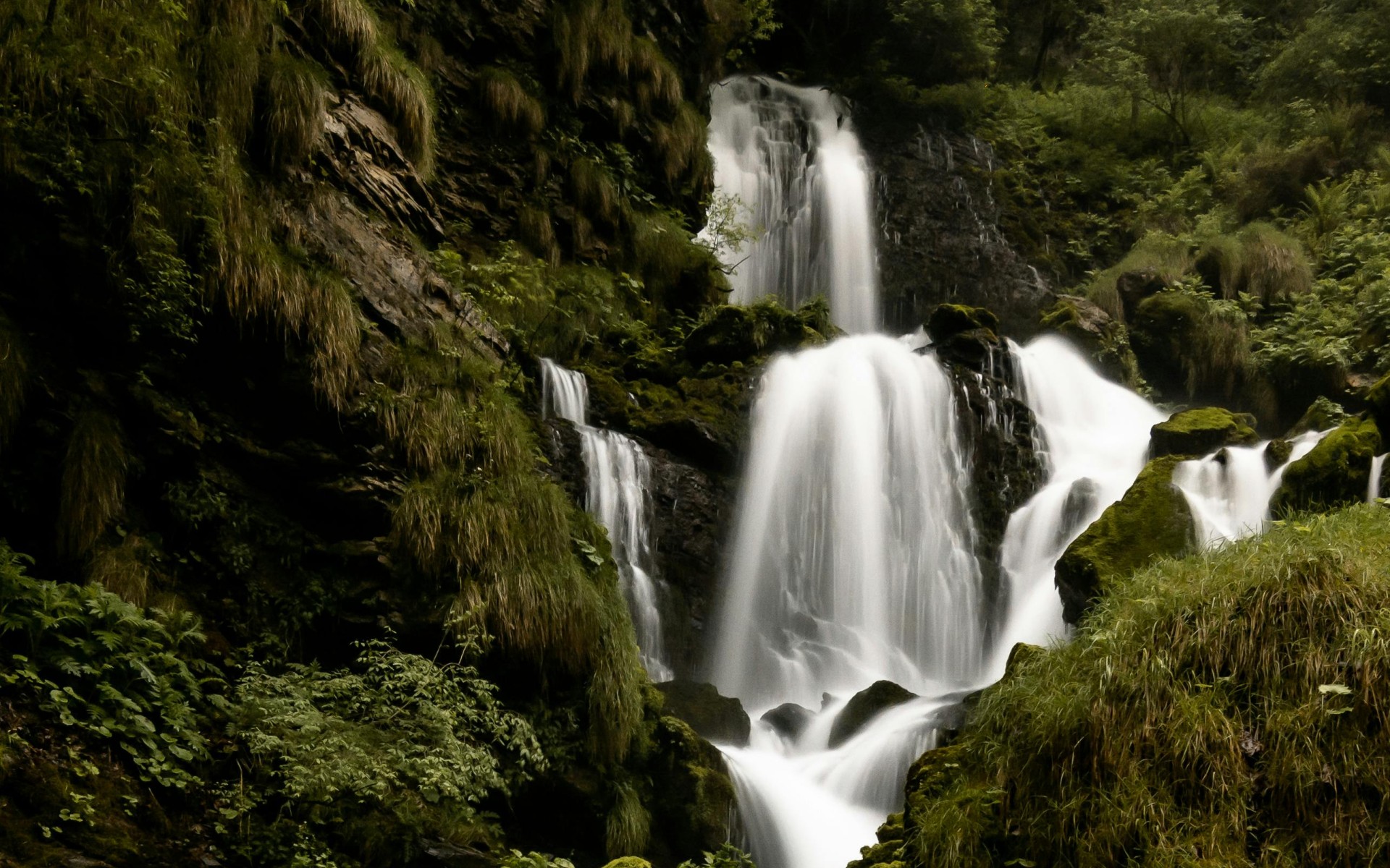 Serene Waterfall Amidst Lush Greenery