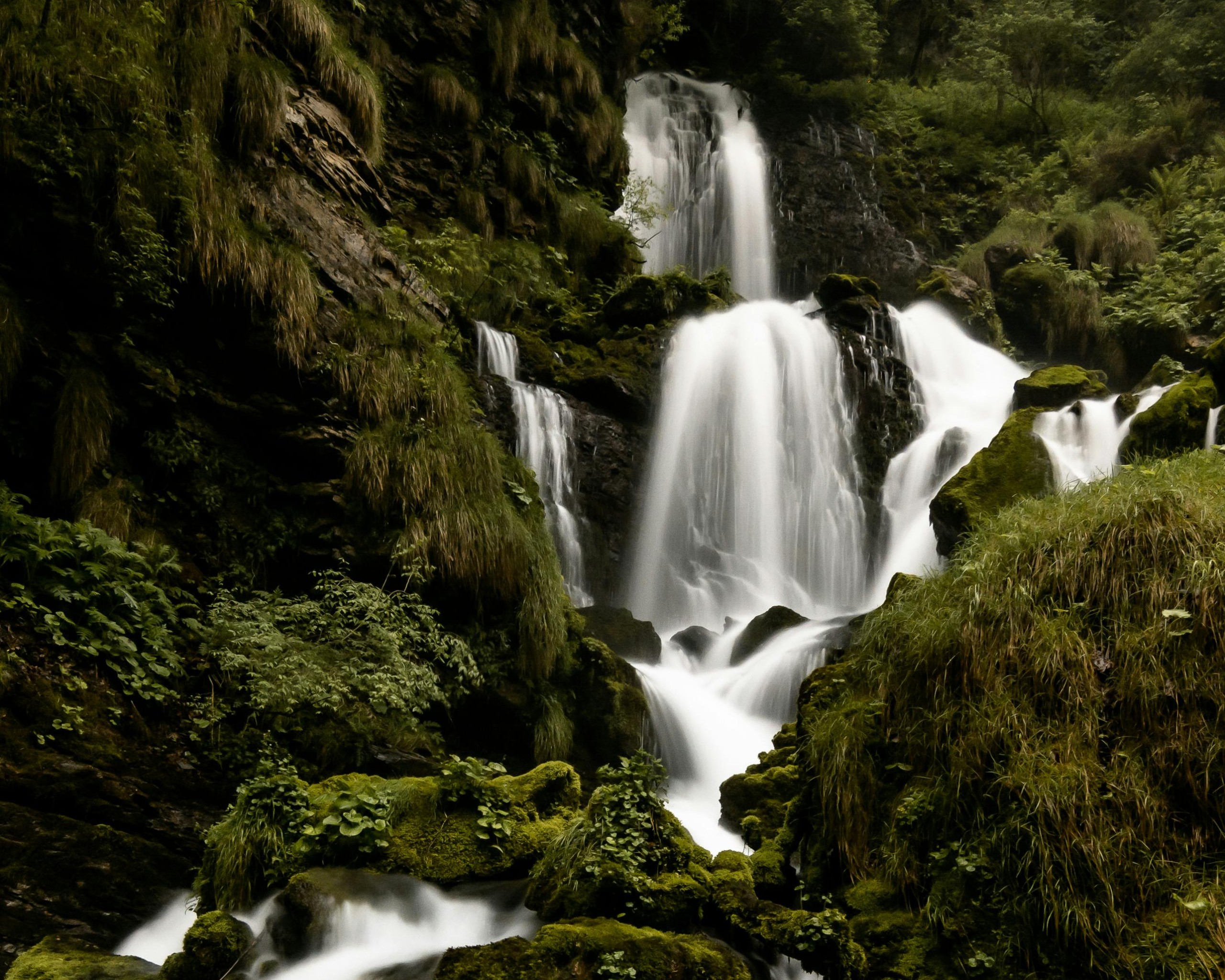 Serene Waterfall Amidst Lush Greenery