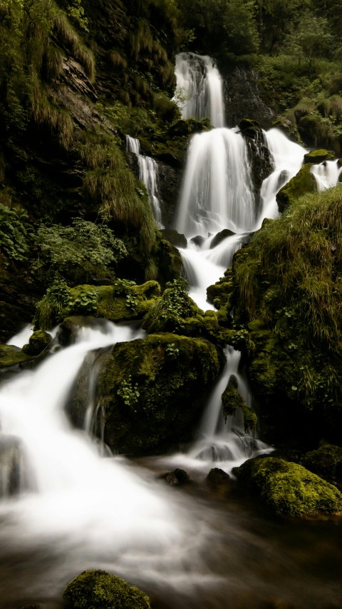 Serene Waterfall Amidst Lush Greenery