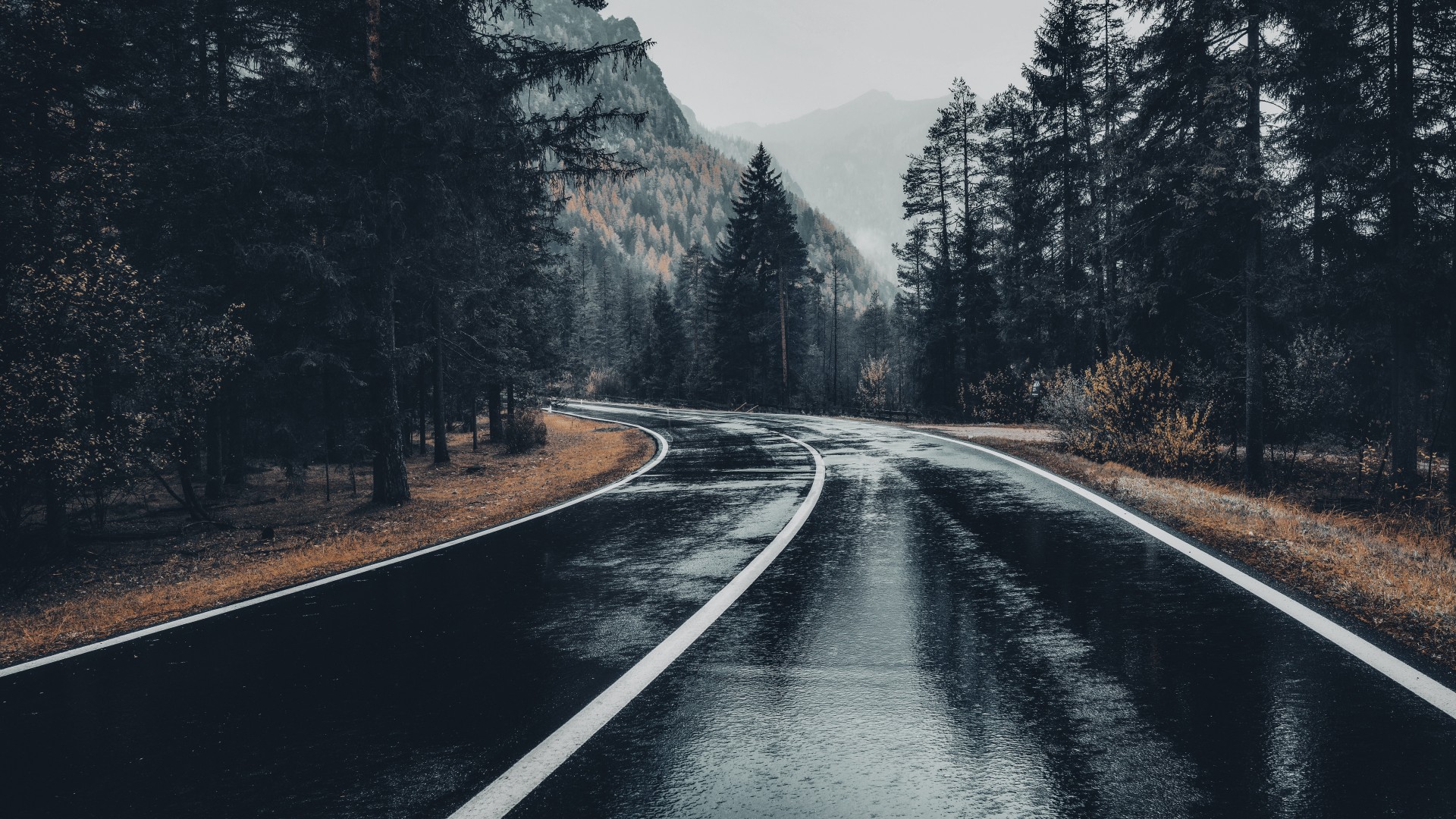 Asphalt Road