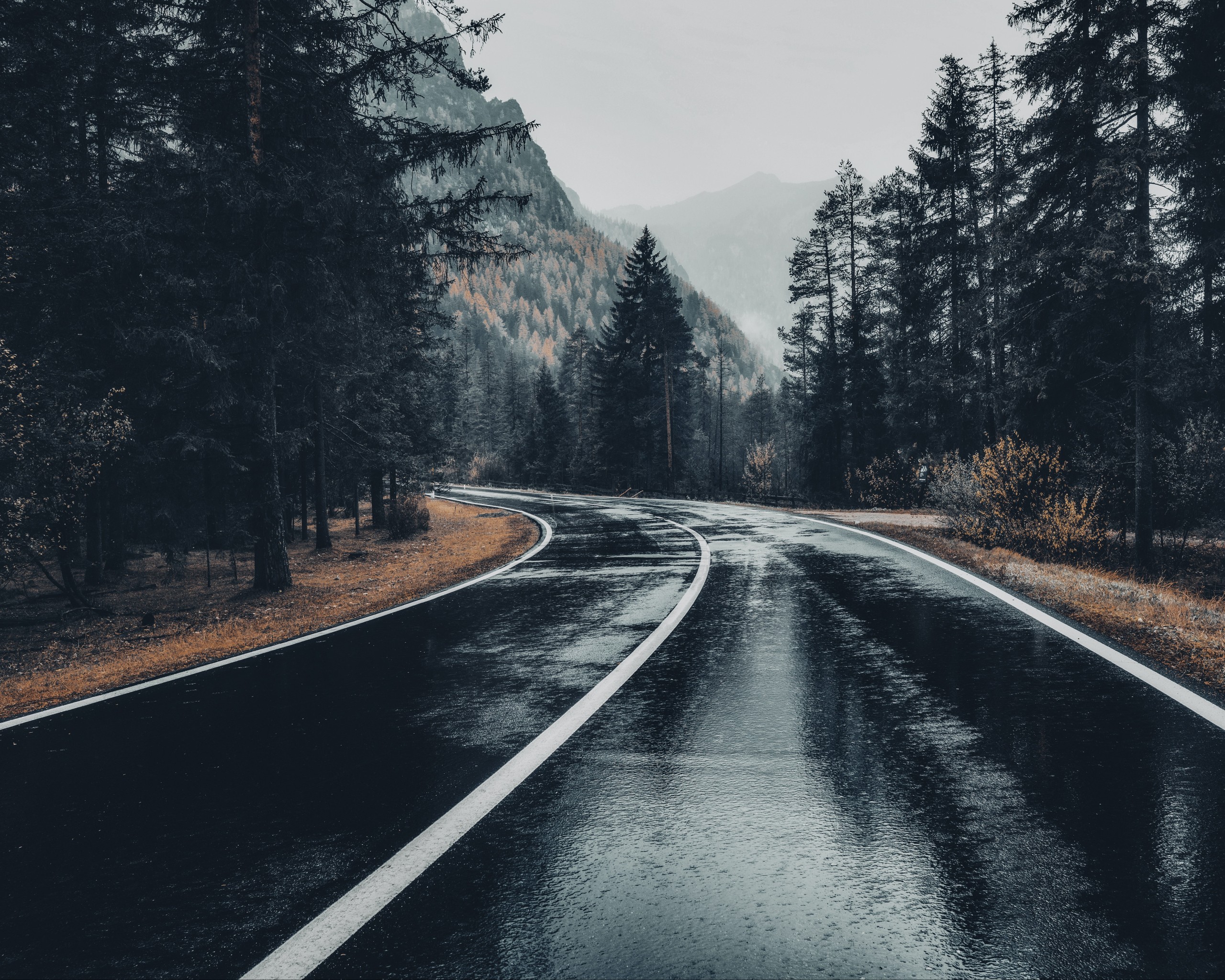 Asphalt Road