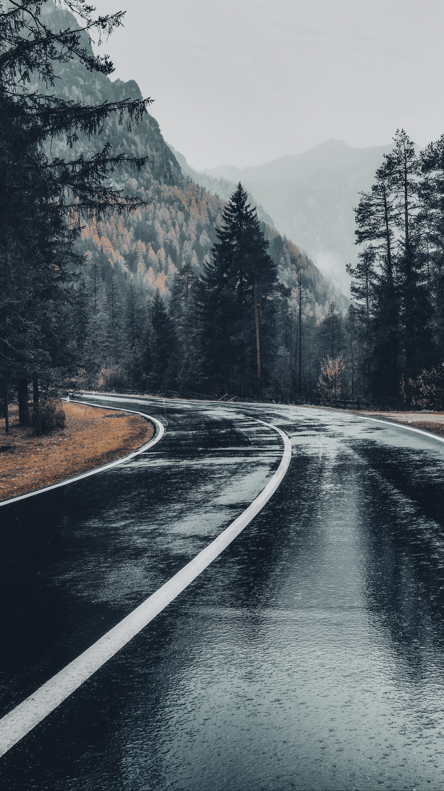 Asphalt Road