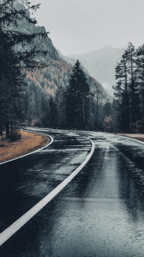 Asphalt Road