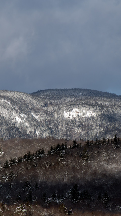 Gray and Brown Mountain