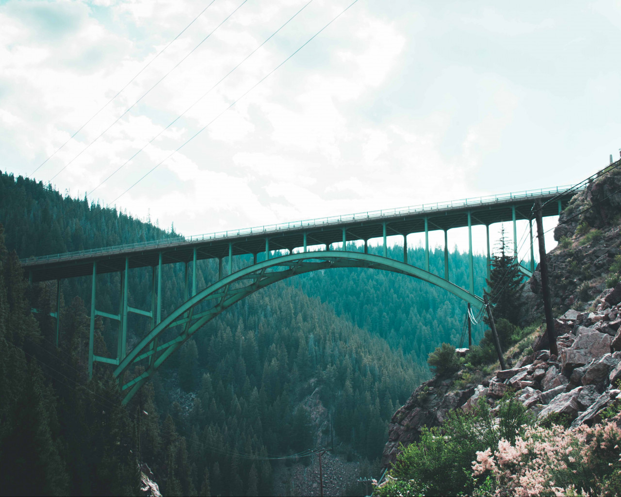 Bridge 