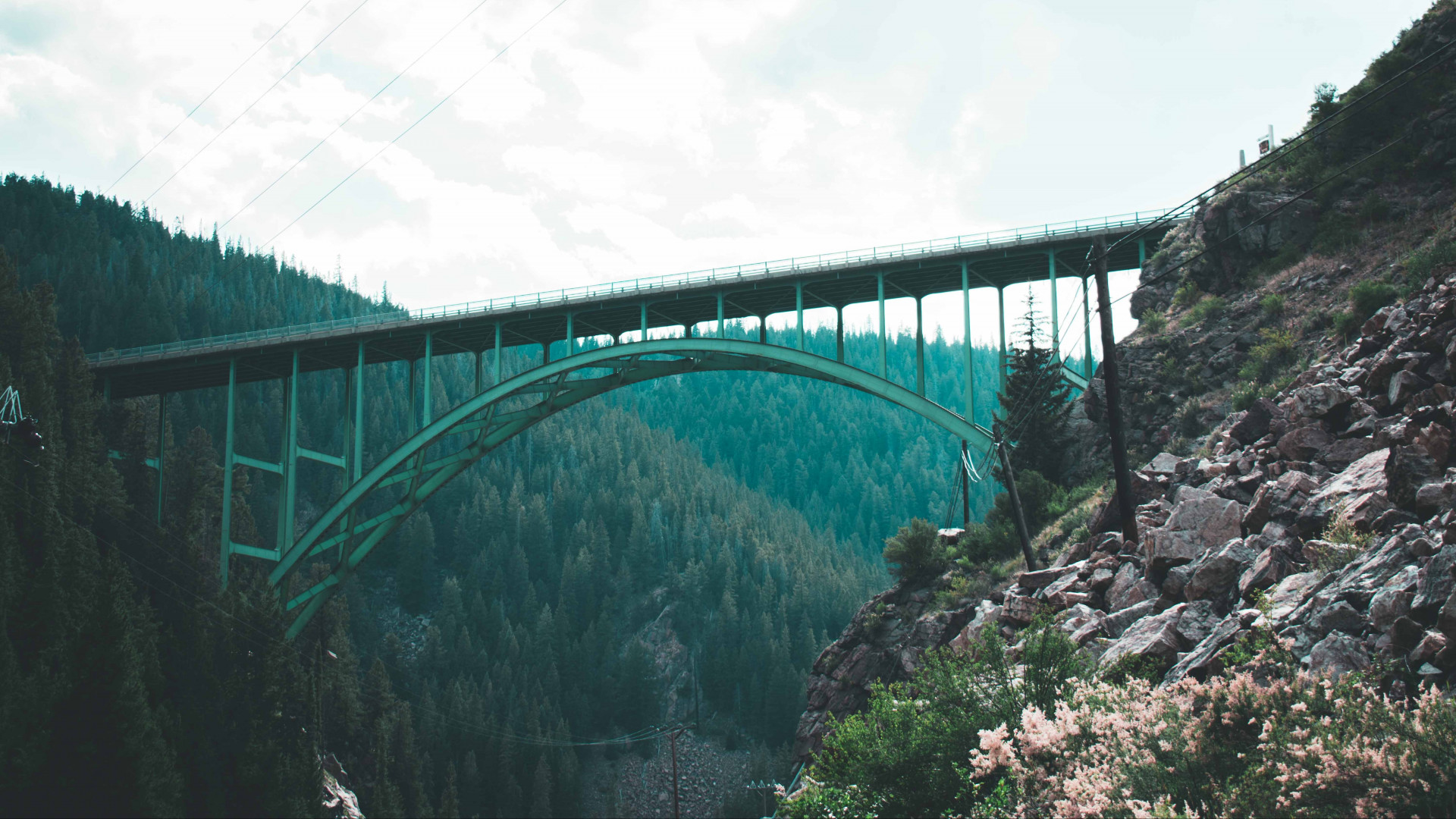 Bridge 