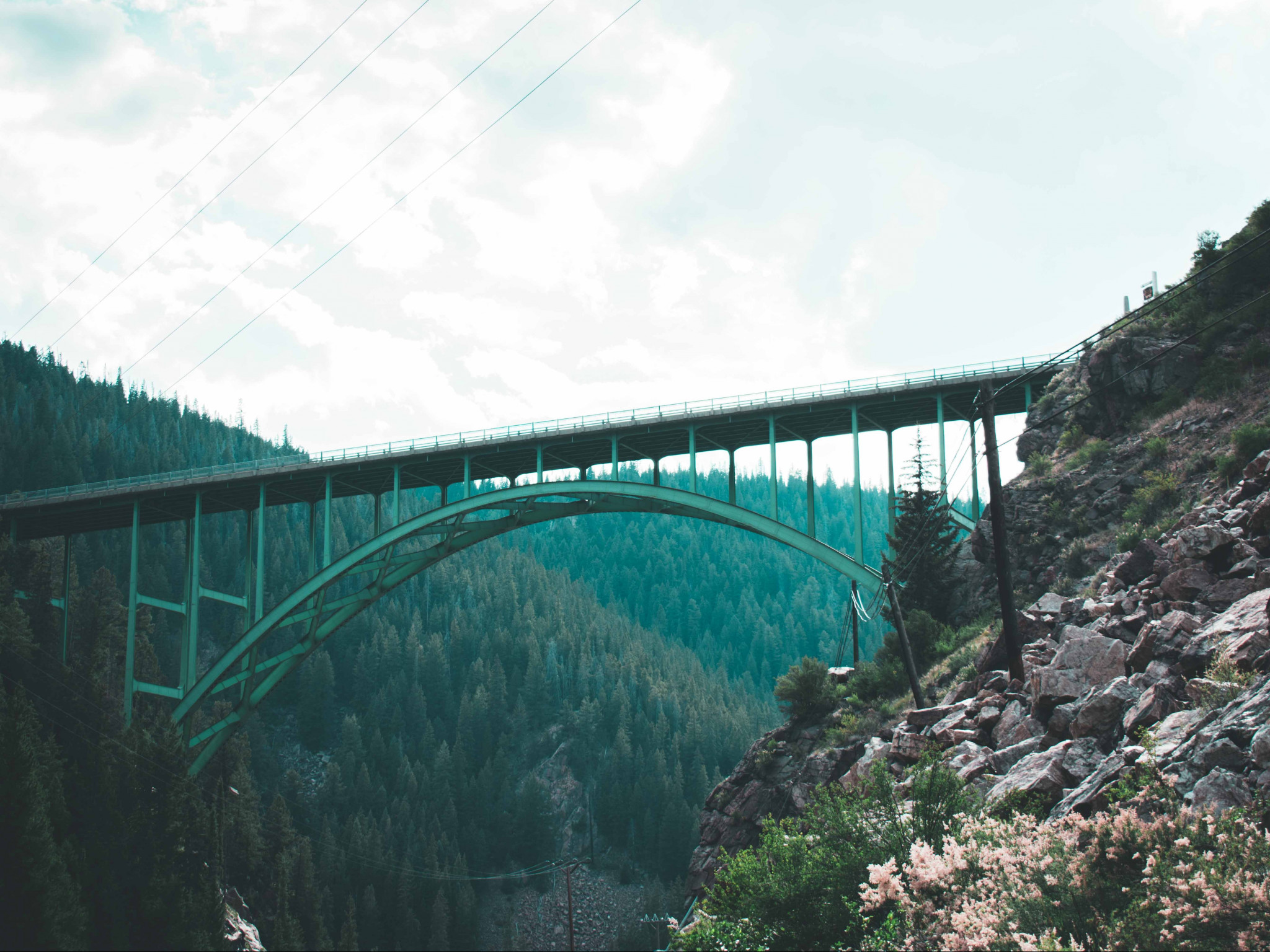 Bridge 