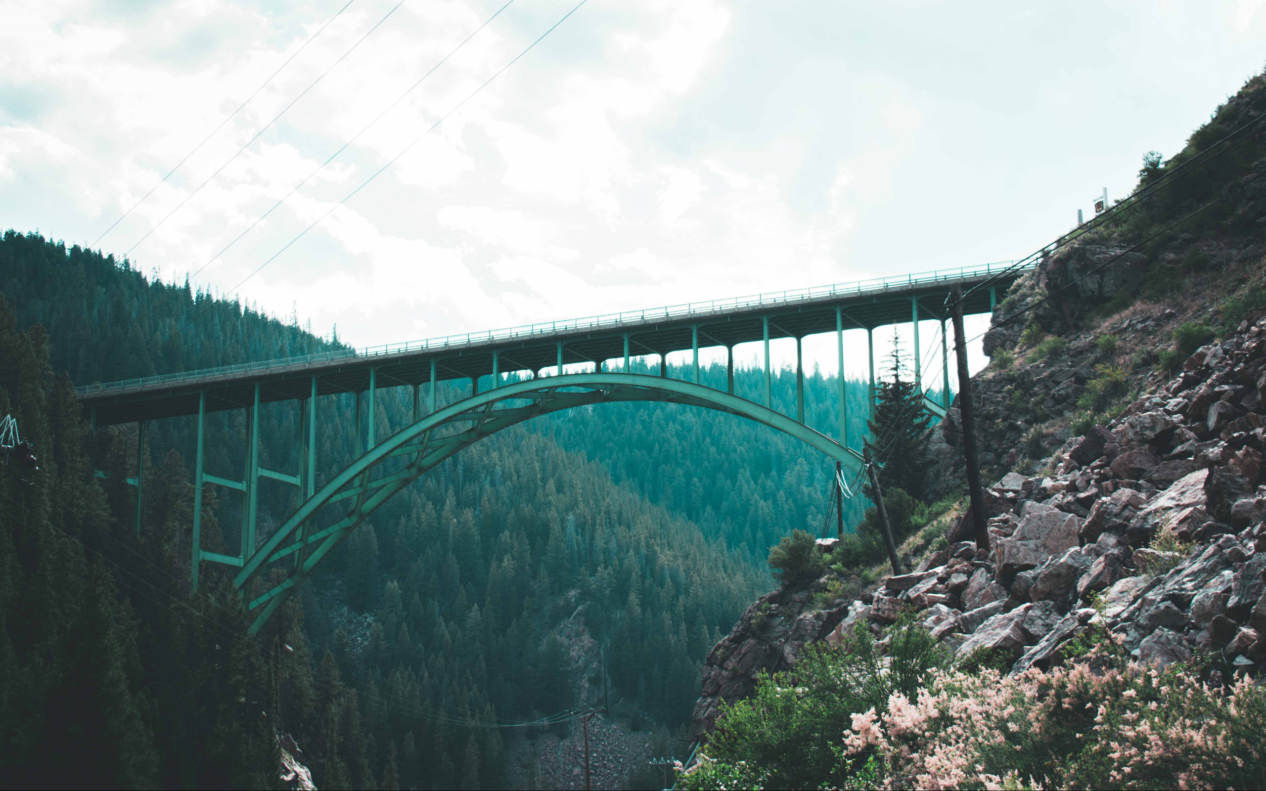 Bridge 
