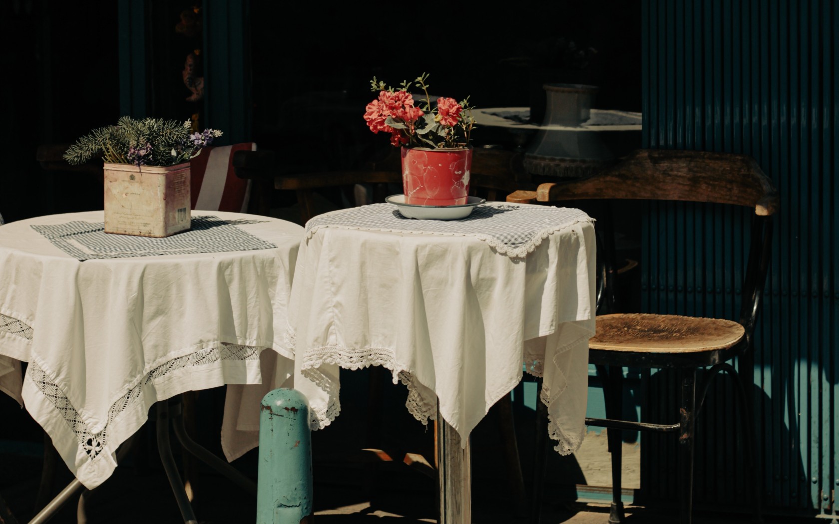 Red Flowers on the Table