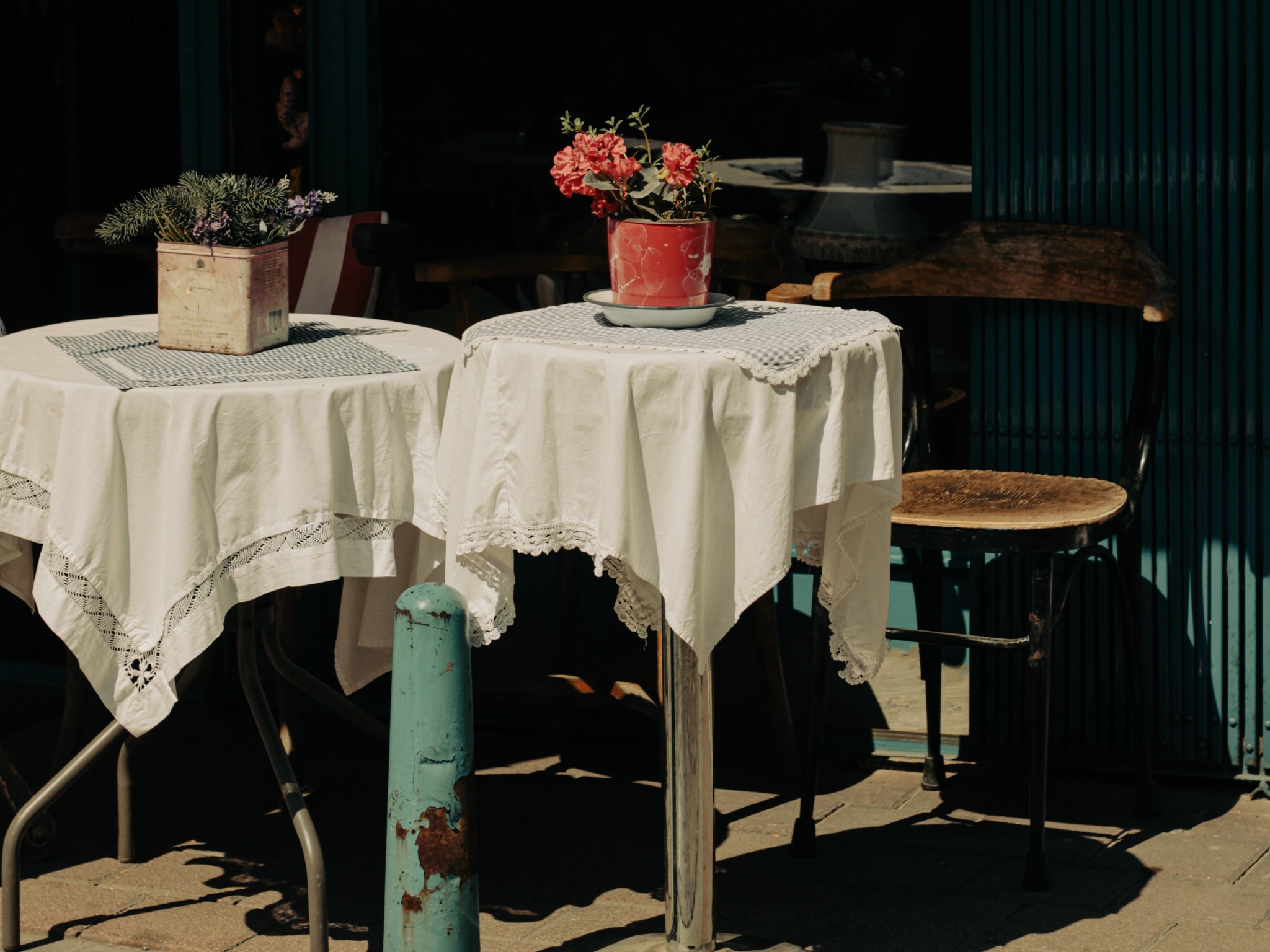 Red Flowers on the Table