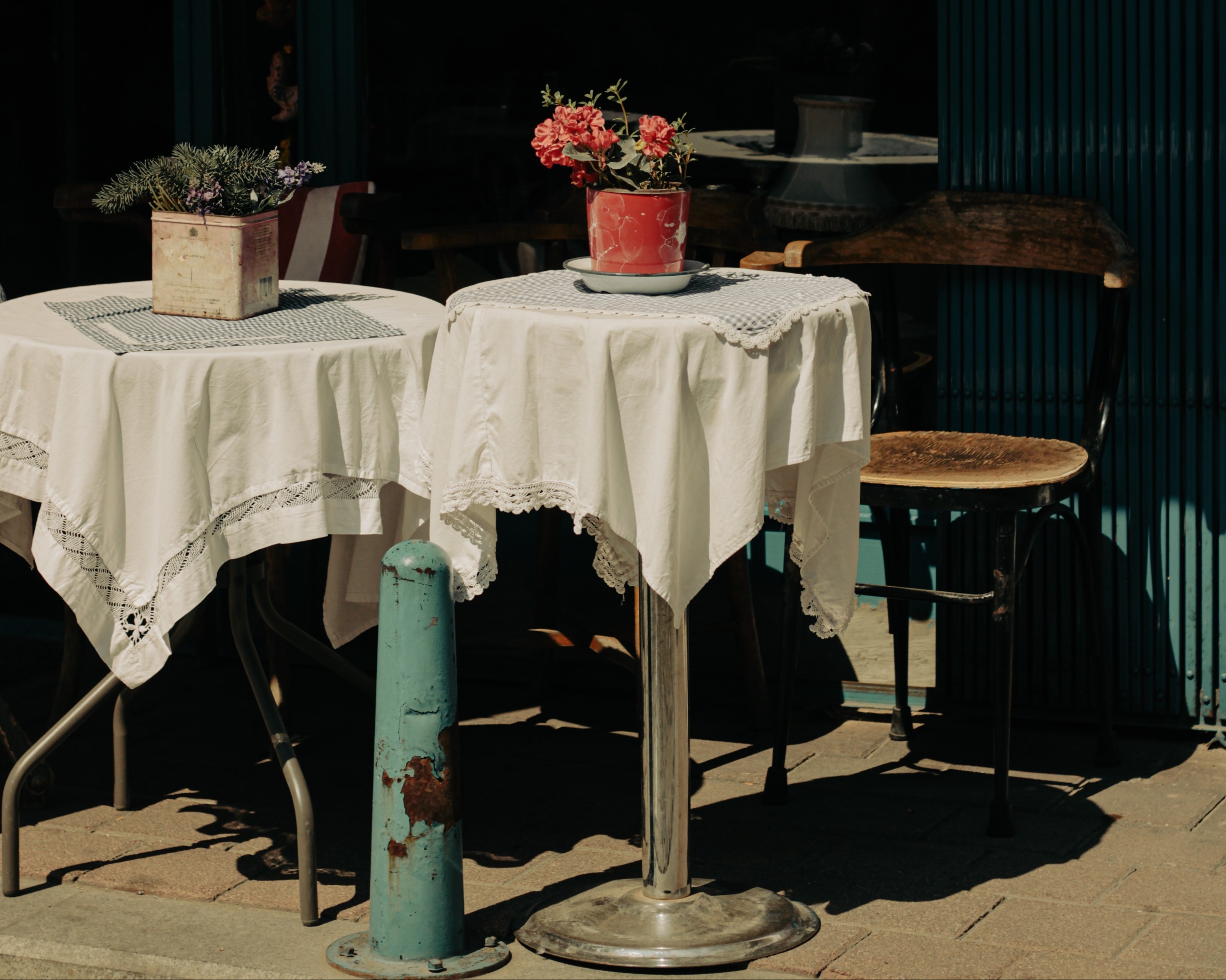 Red Flowers on the Table