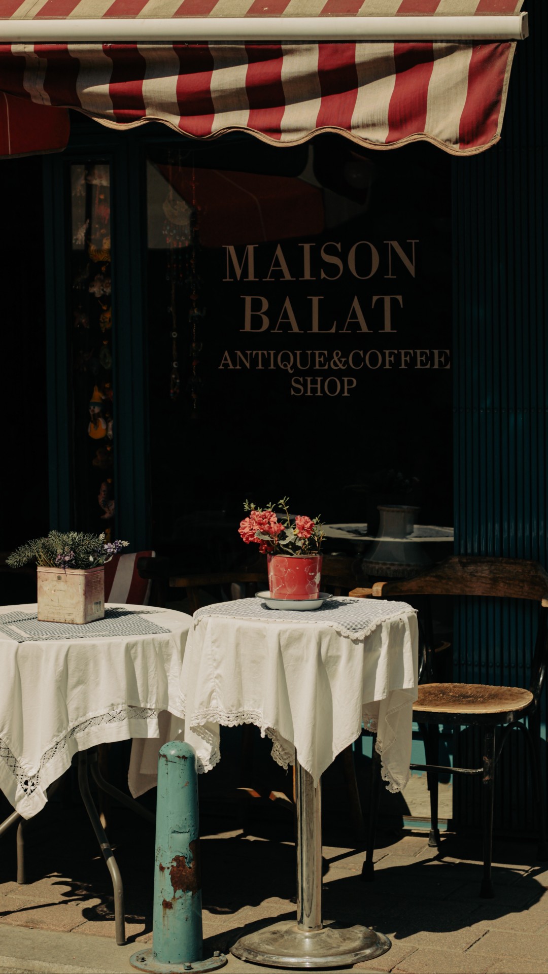 Red Flowers on the Table