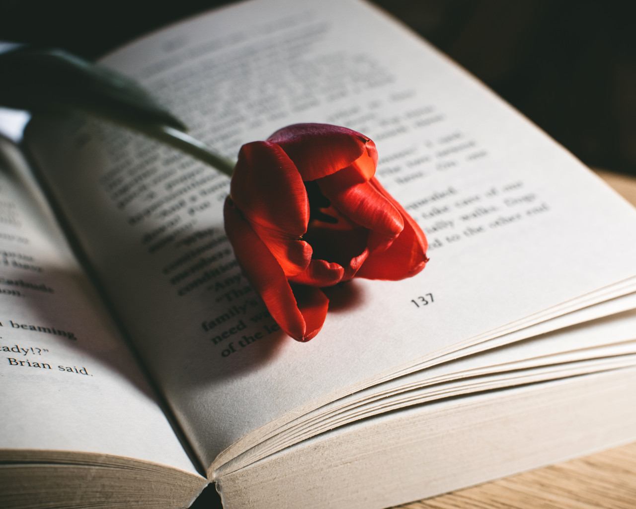 Red Tulip Flower On Book 
