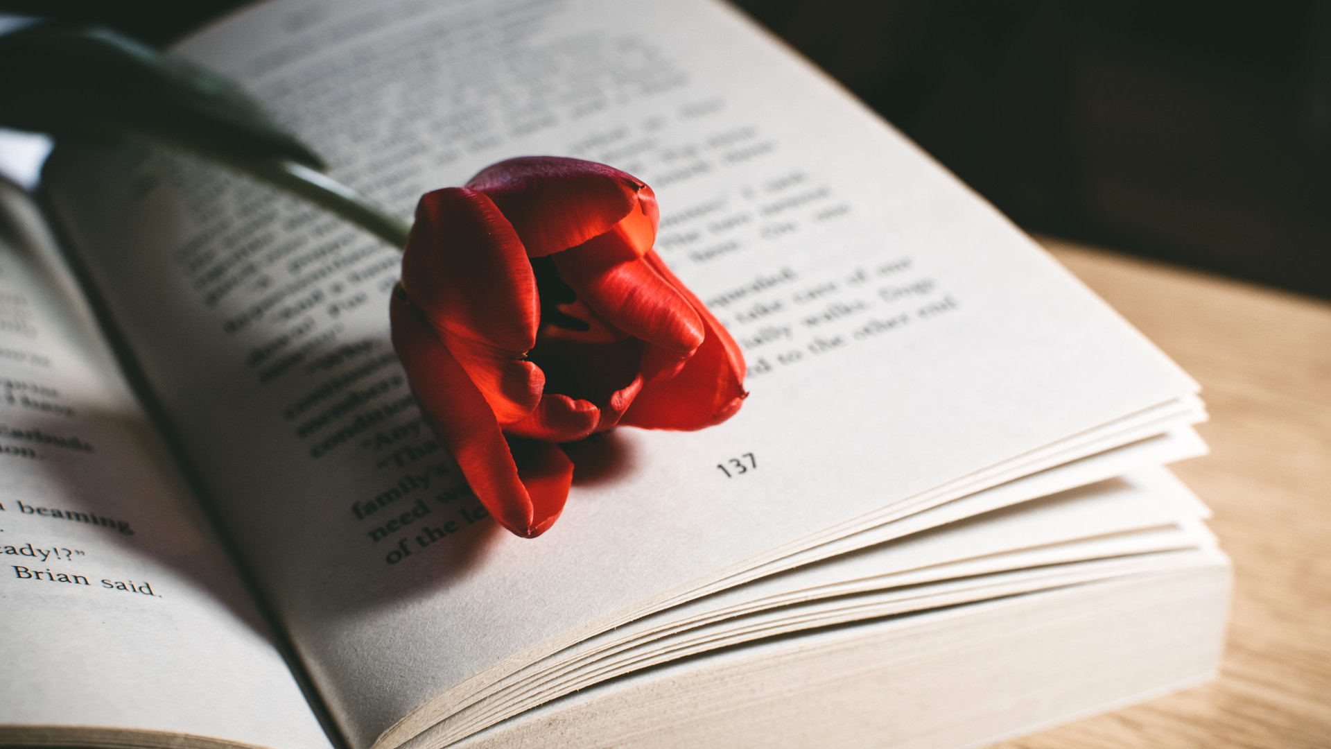 Red Tulip Flower On Book 