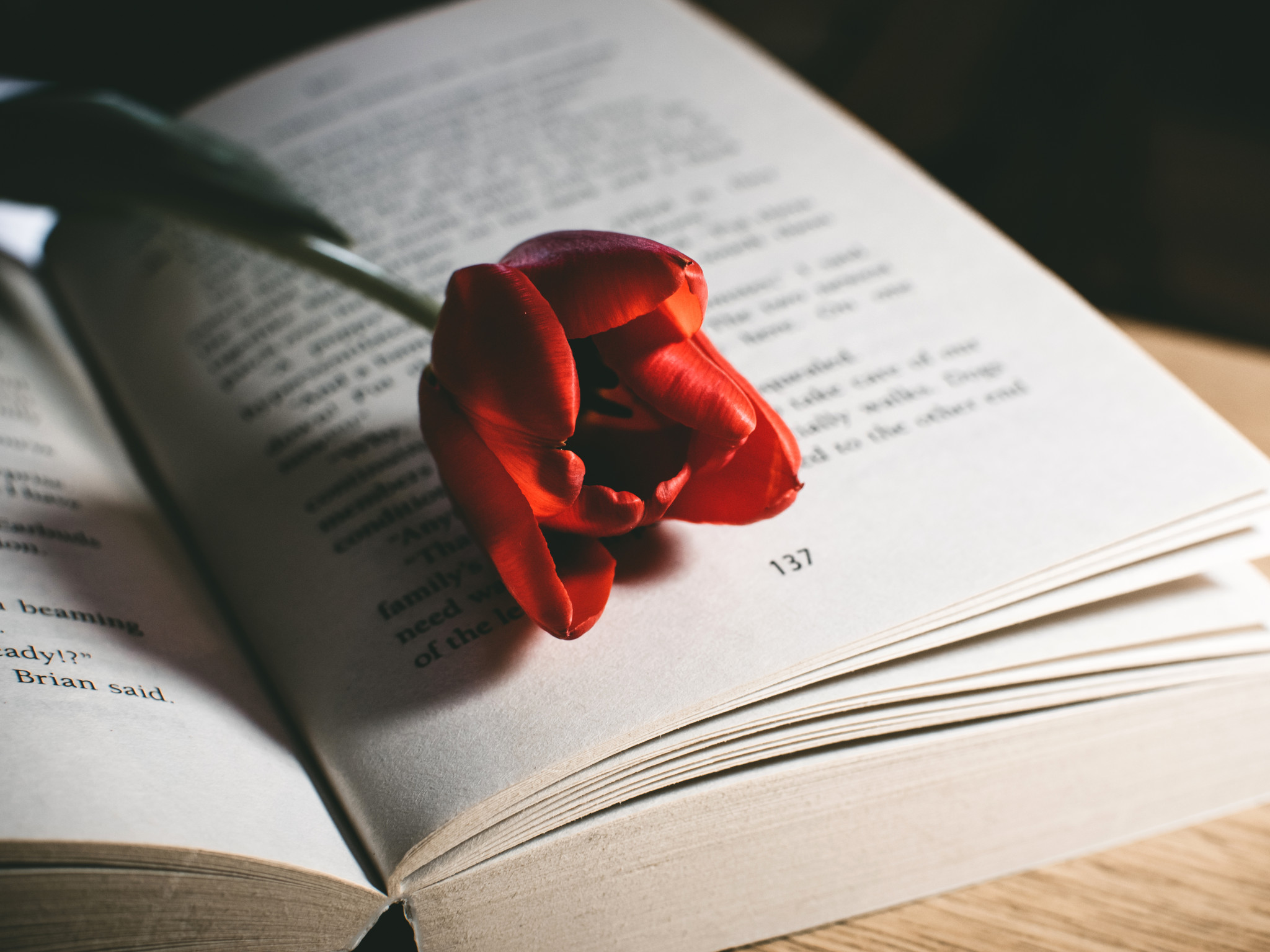 Red Tulip Flower On Book 