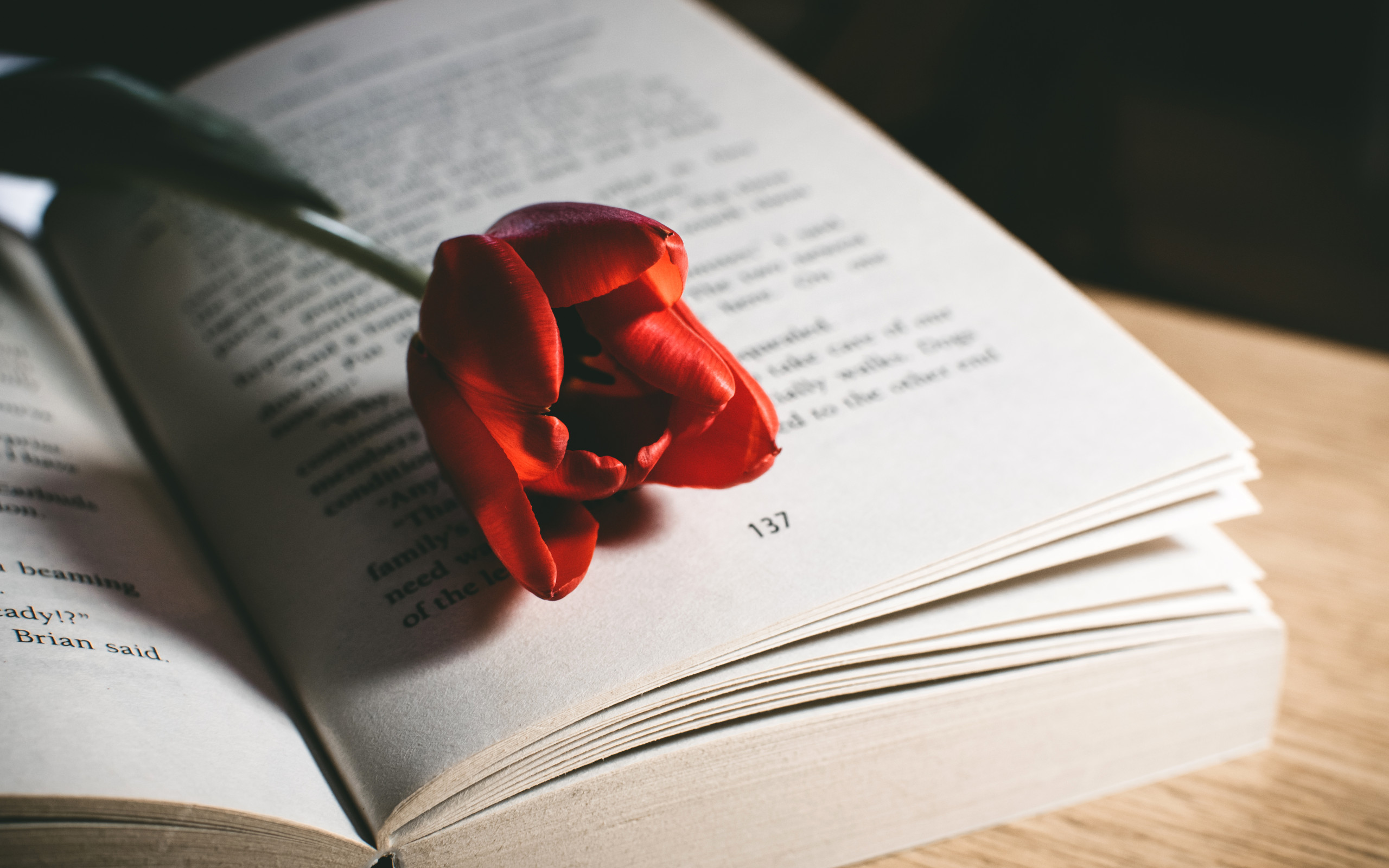 Red Tulip Flower On Book 