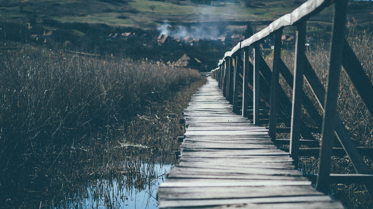 Wooden Bridge Going Up the Mountain