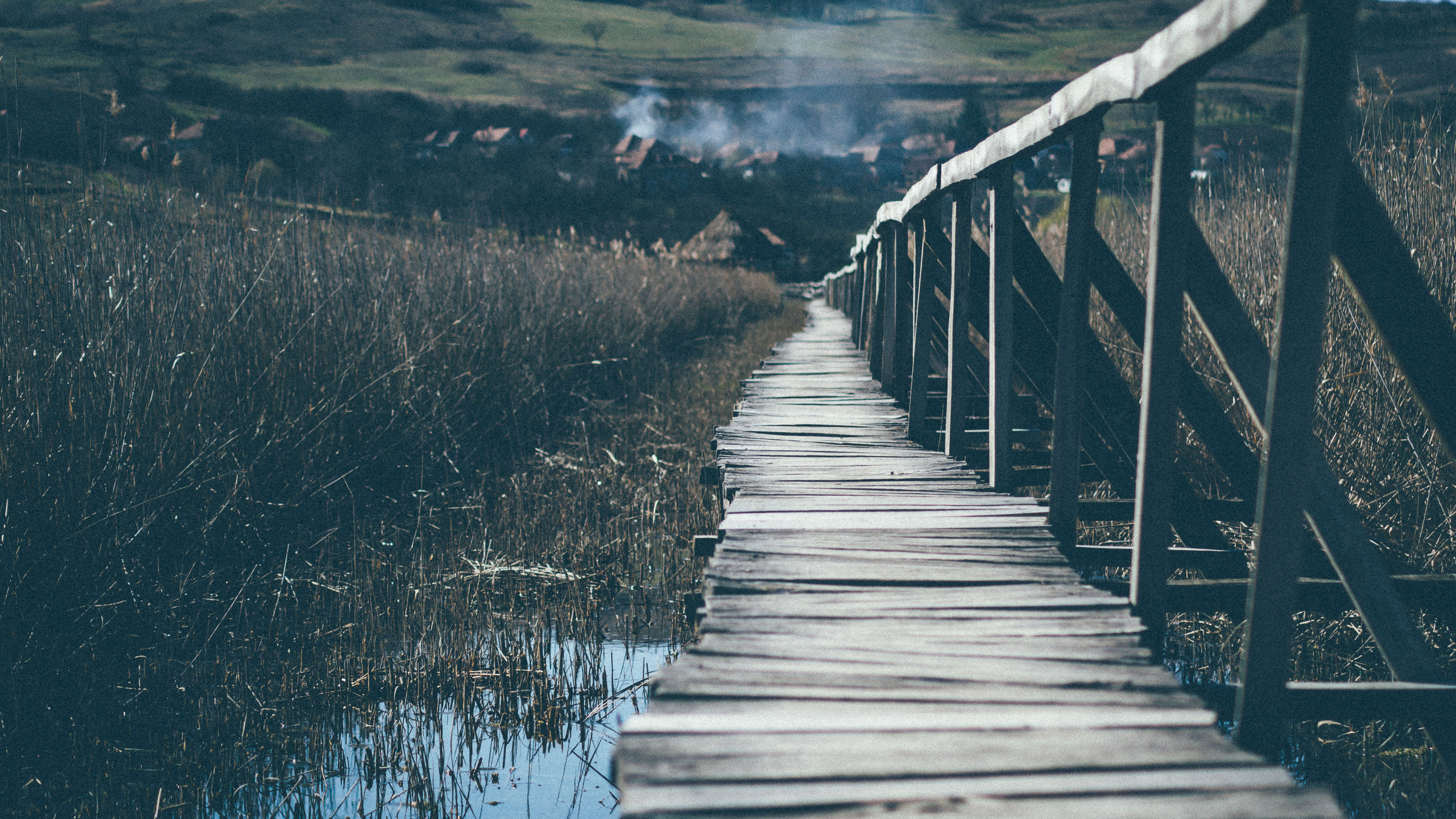 Wooden Bridge Going Up the Mountain