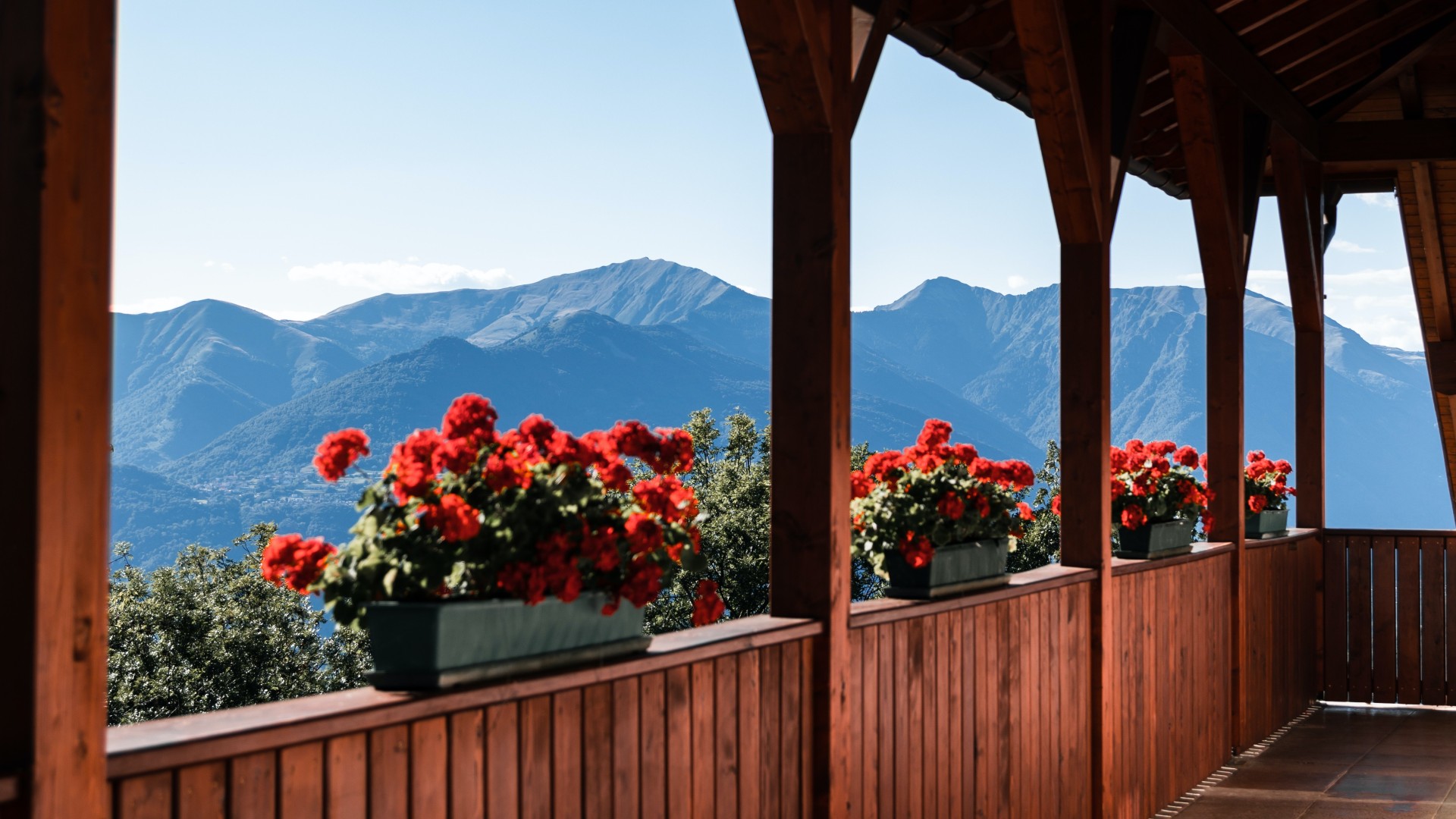 Green Trees and Mountains