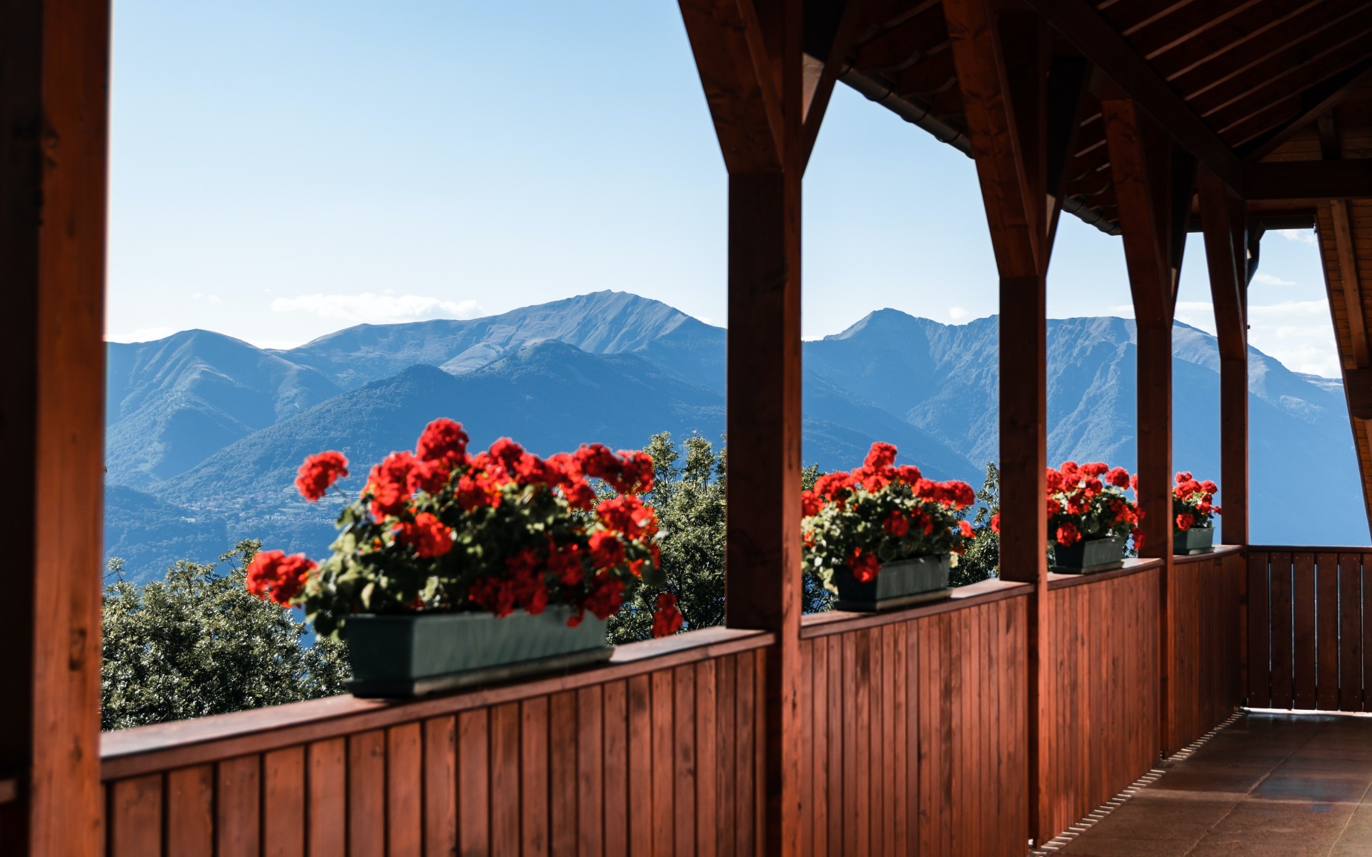 Green Trees and Mountains