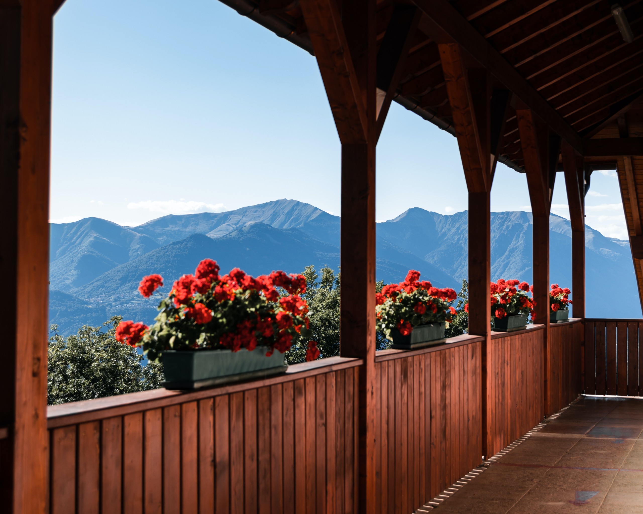 Green Trees and Mountains