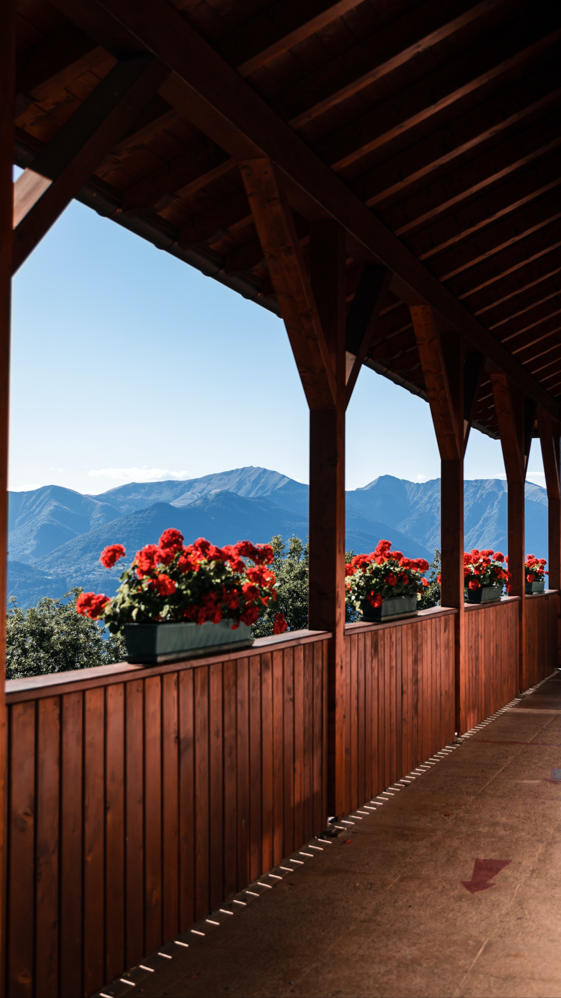 Green Trees and Mountains