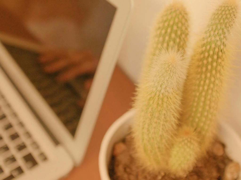 Laptop beside Green and White Cactus Plant