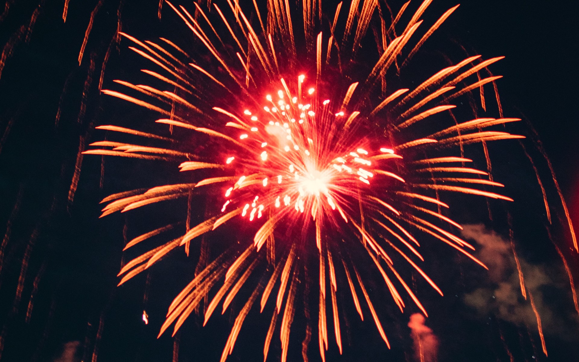 Firework