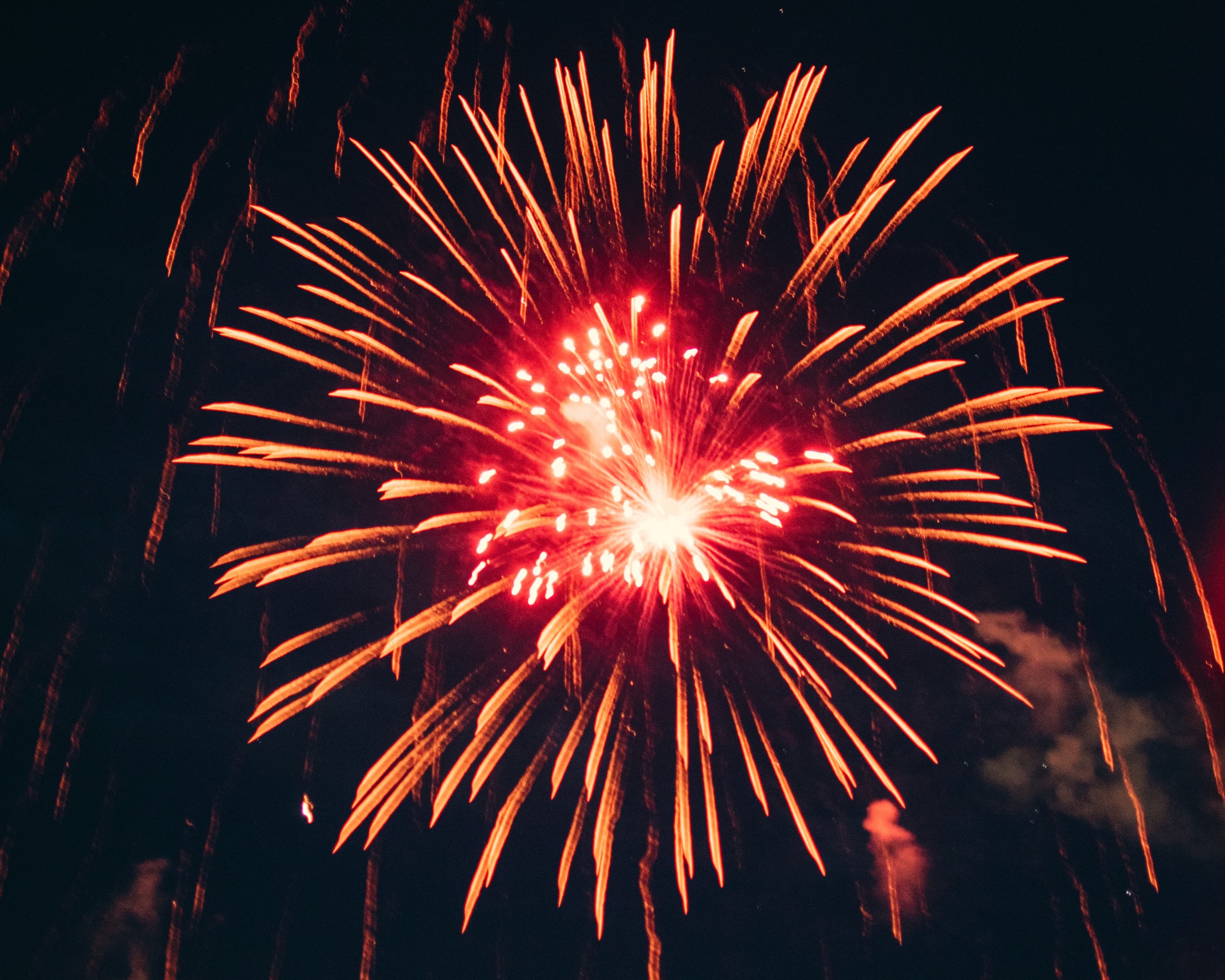 Firework