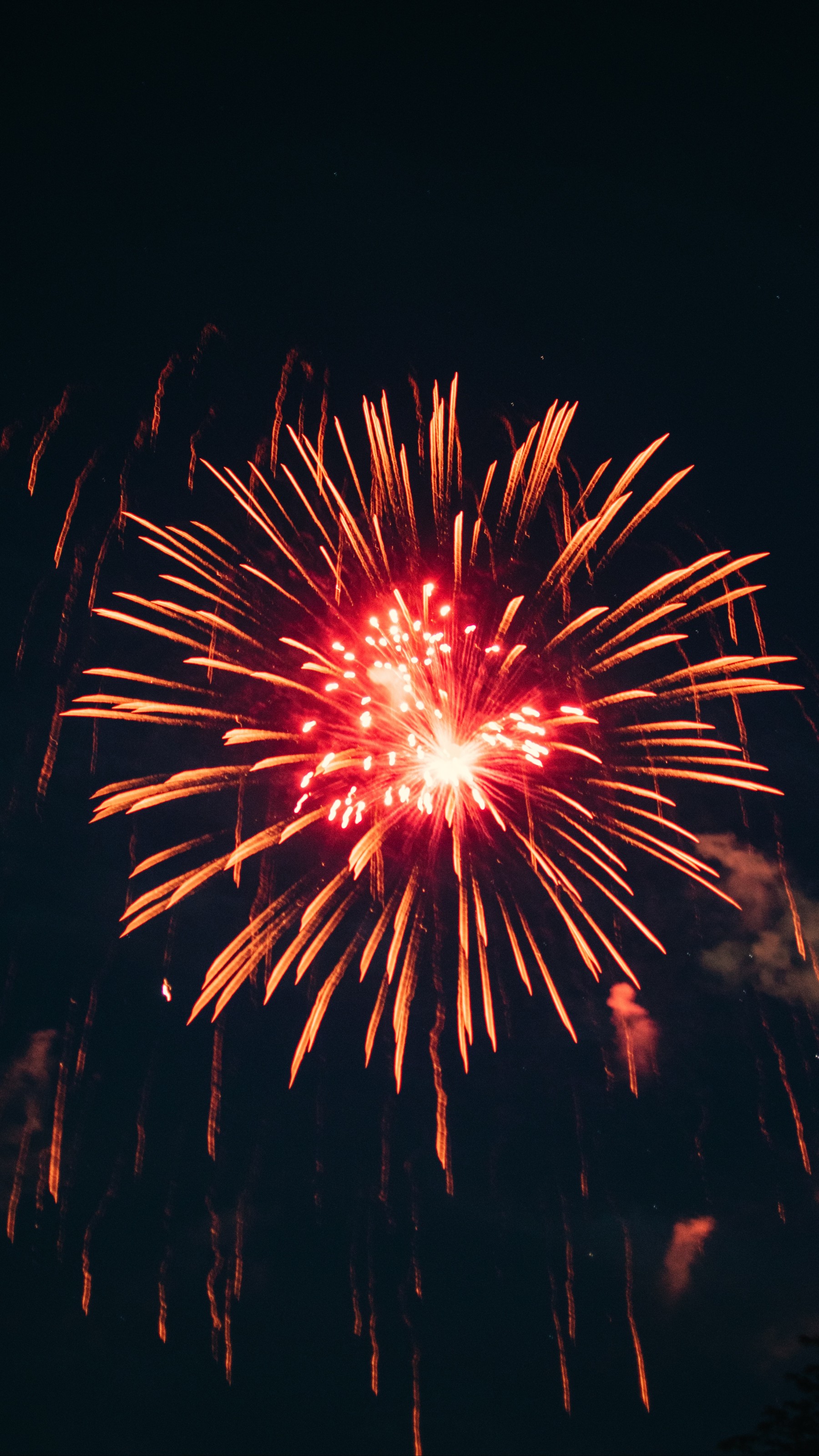 Firework
