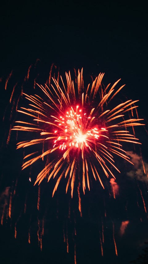 Firework