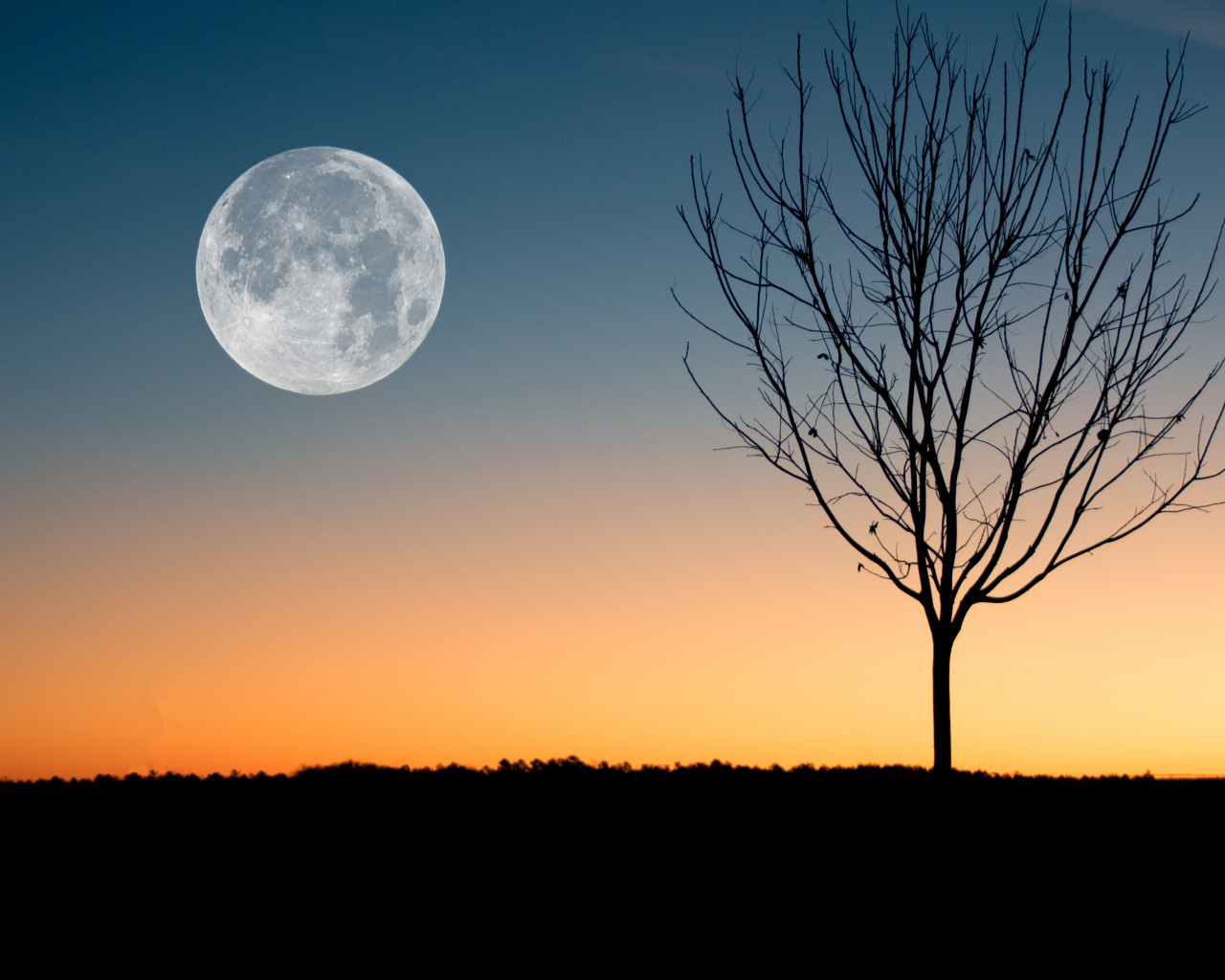 Moon Showing during Sunset