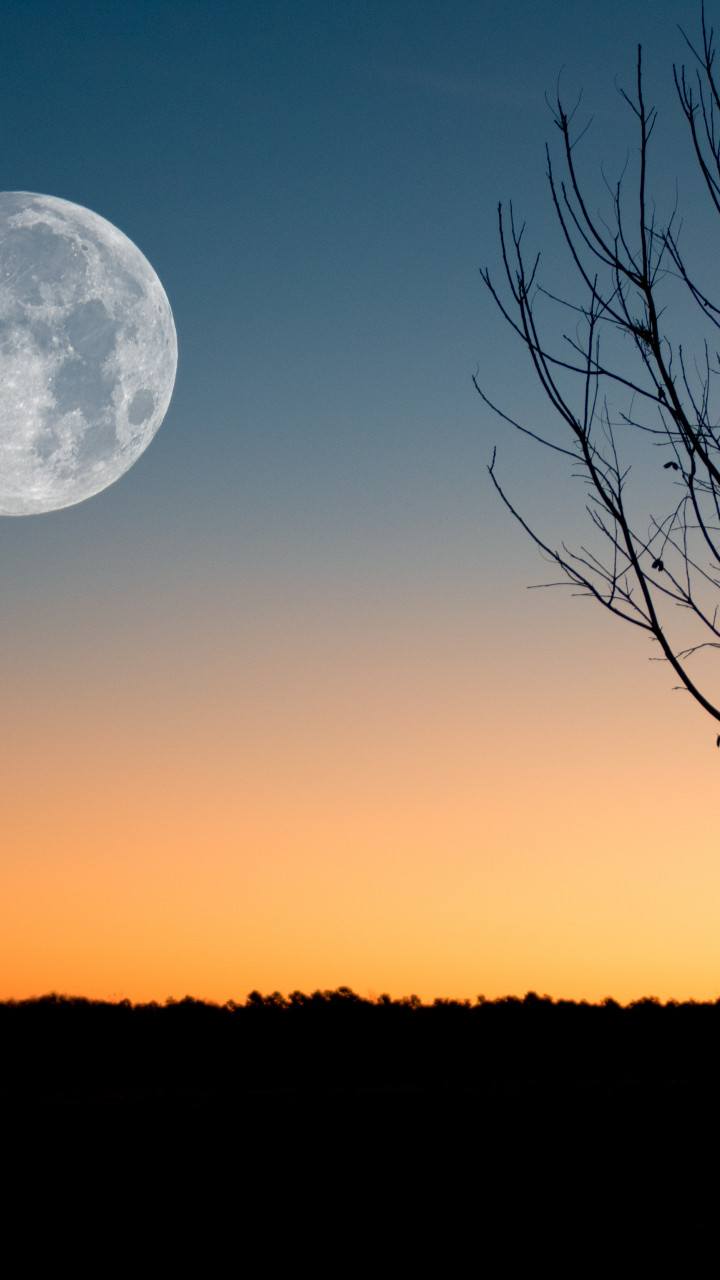 Moon Showing during Sunset