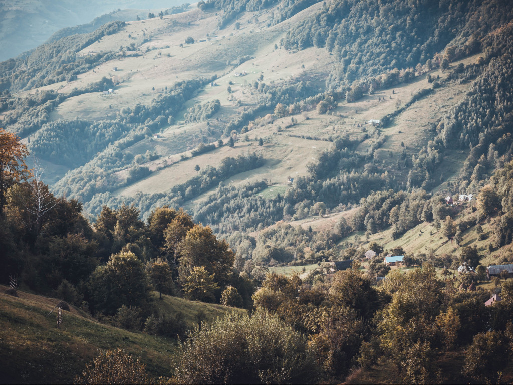 Green Mountain With Trees