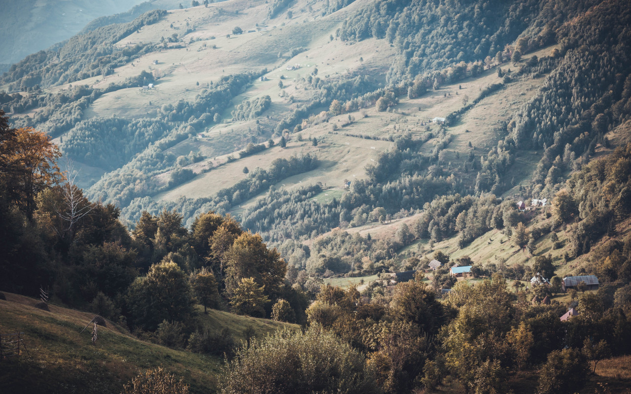 Green Mountain With Trees