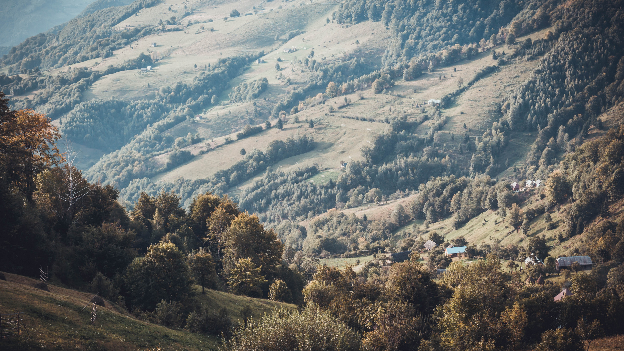 Green Mountain With Trees